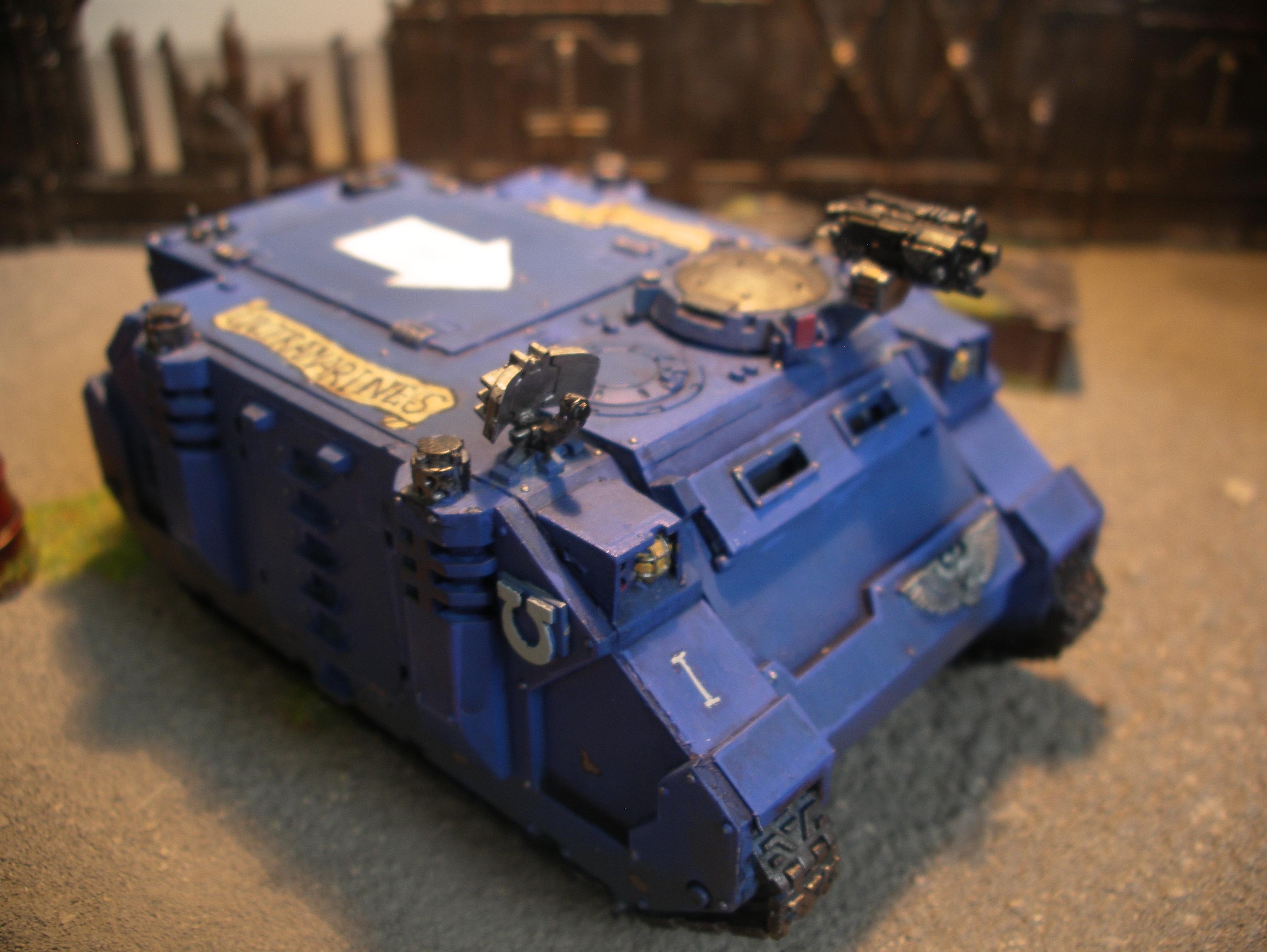 Rhino 1