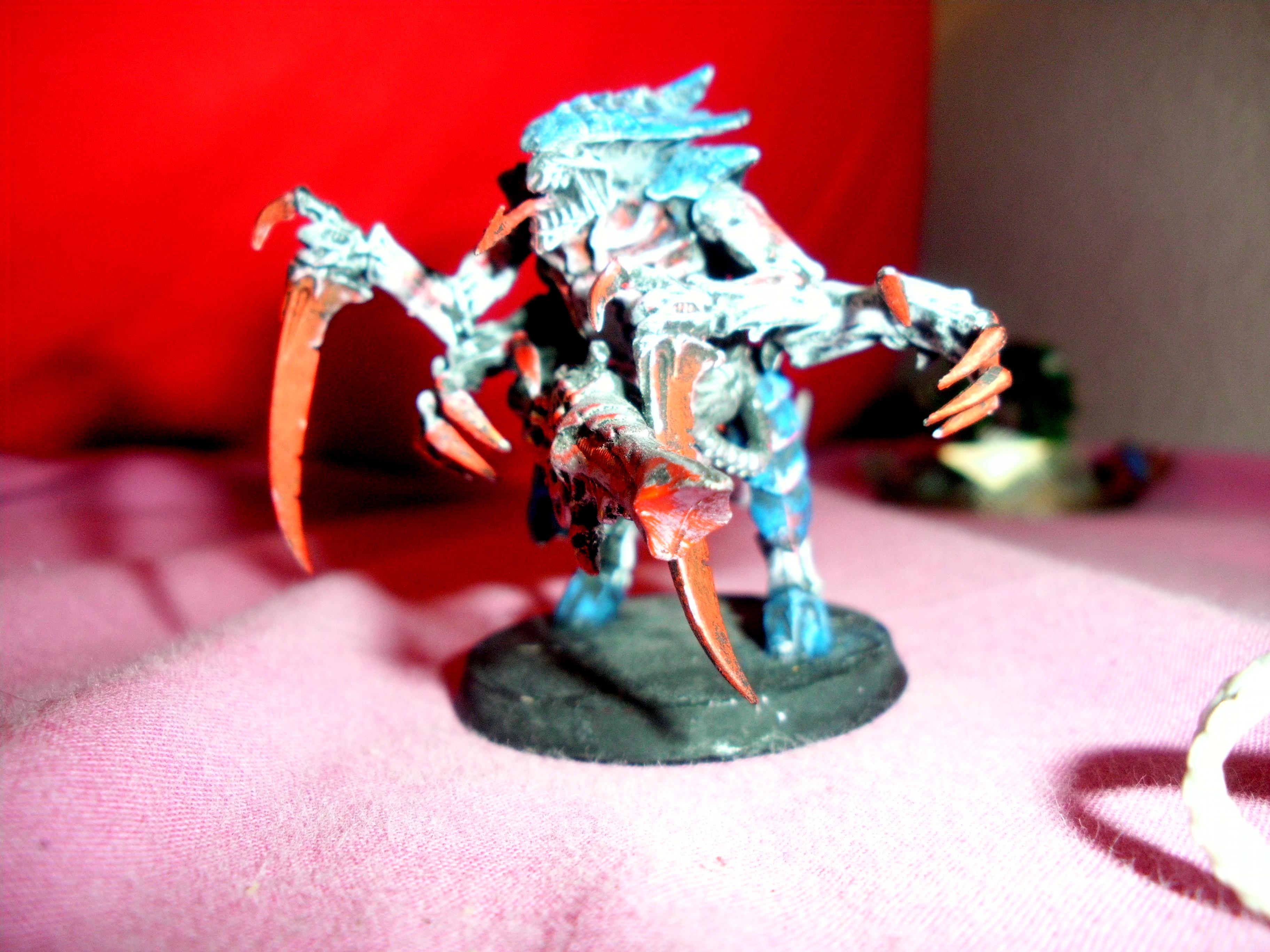 Back To Back, Salamanders, Skeletons, Space Marines, Tyranids