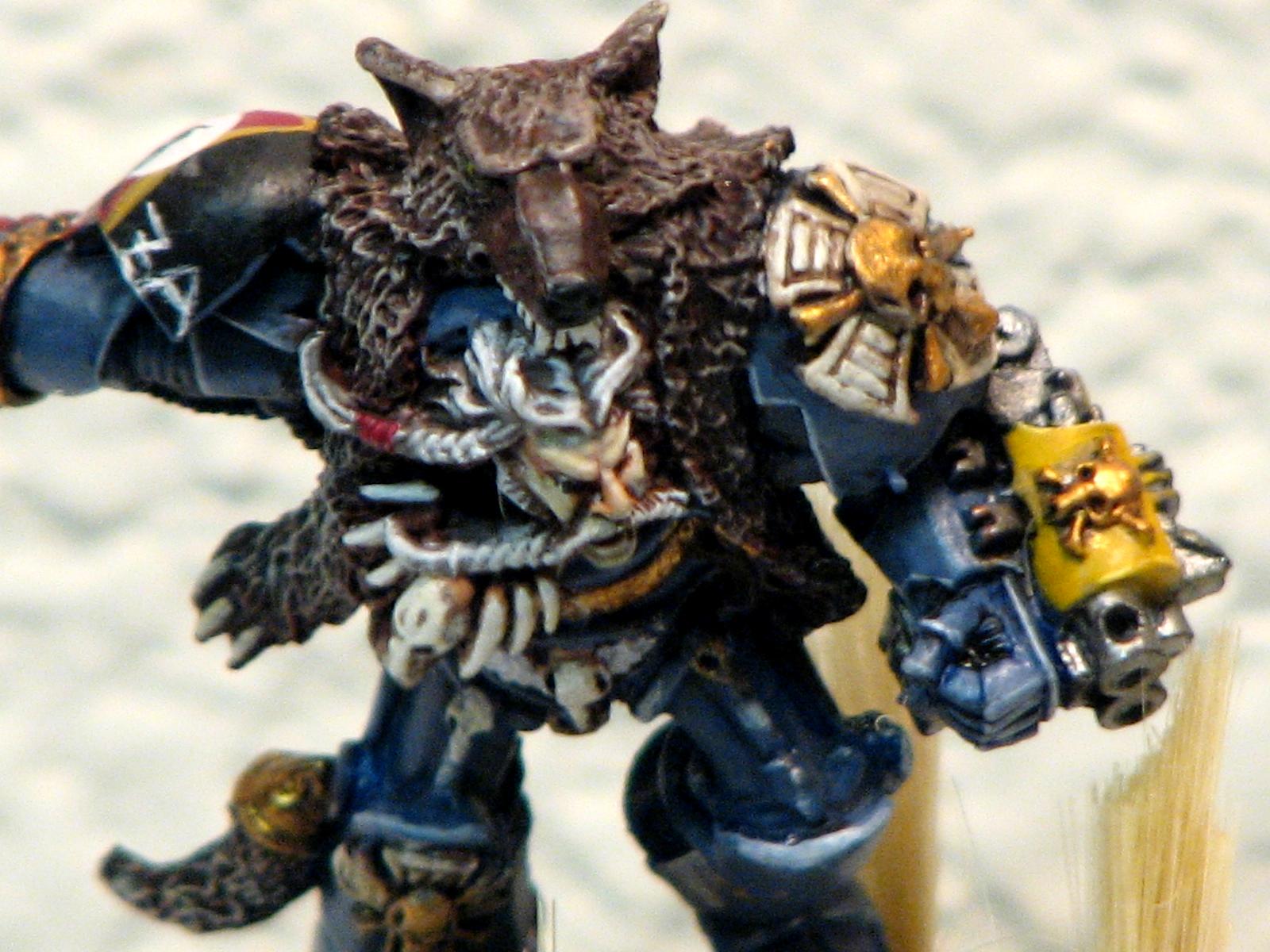 Grimnar, Logan, Space Marines, Space Wolves