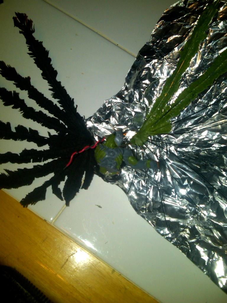 Mortarion - Wings