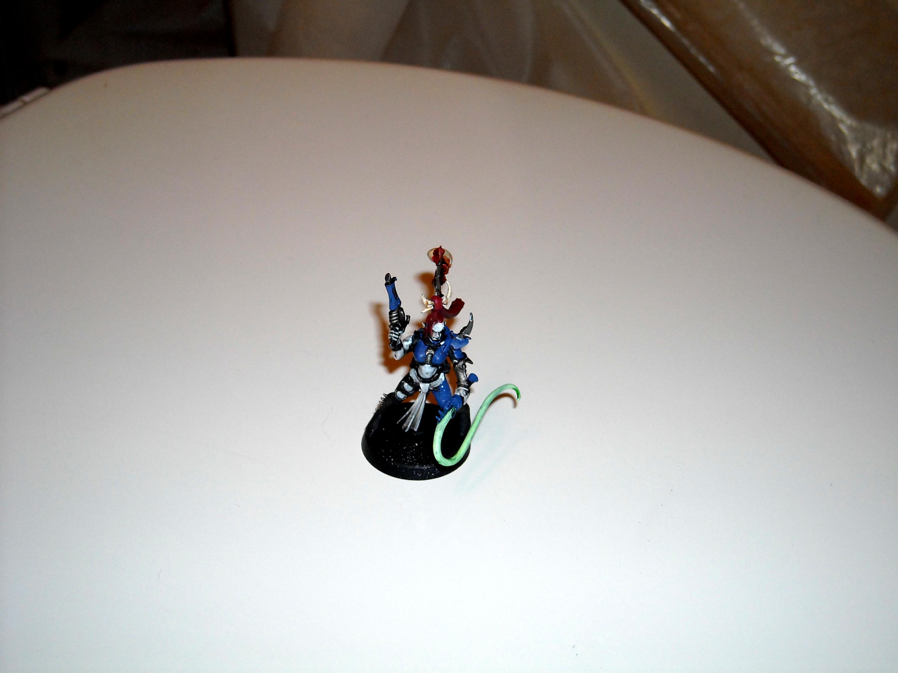 Archon, Hellions, Raider, Succubus, Warriors, Wych, Wyches