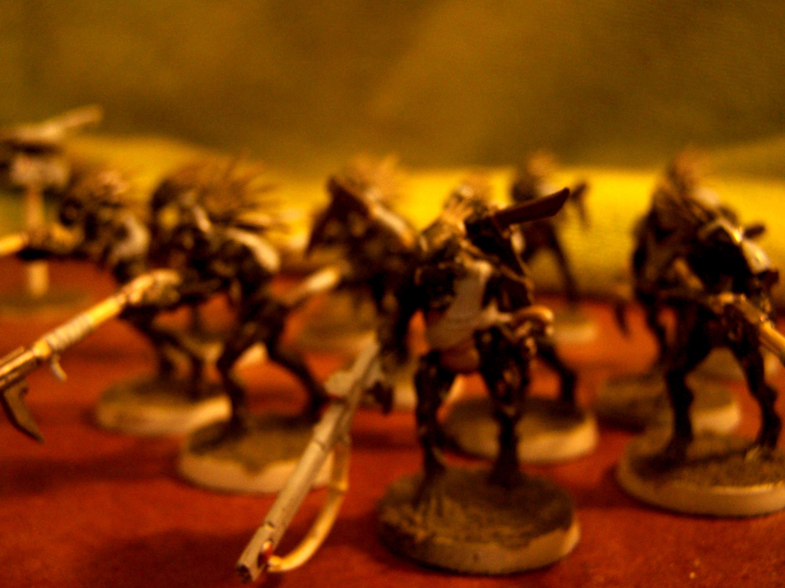 Kroot, Tau, Kroot