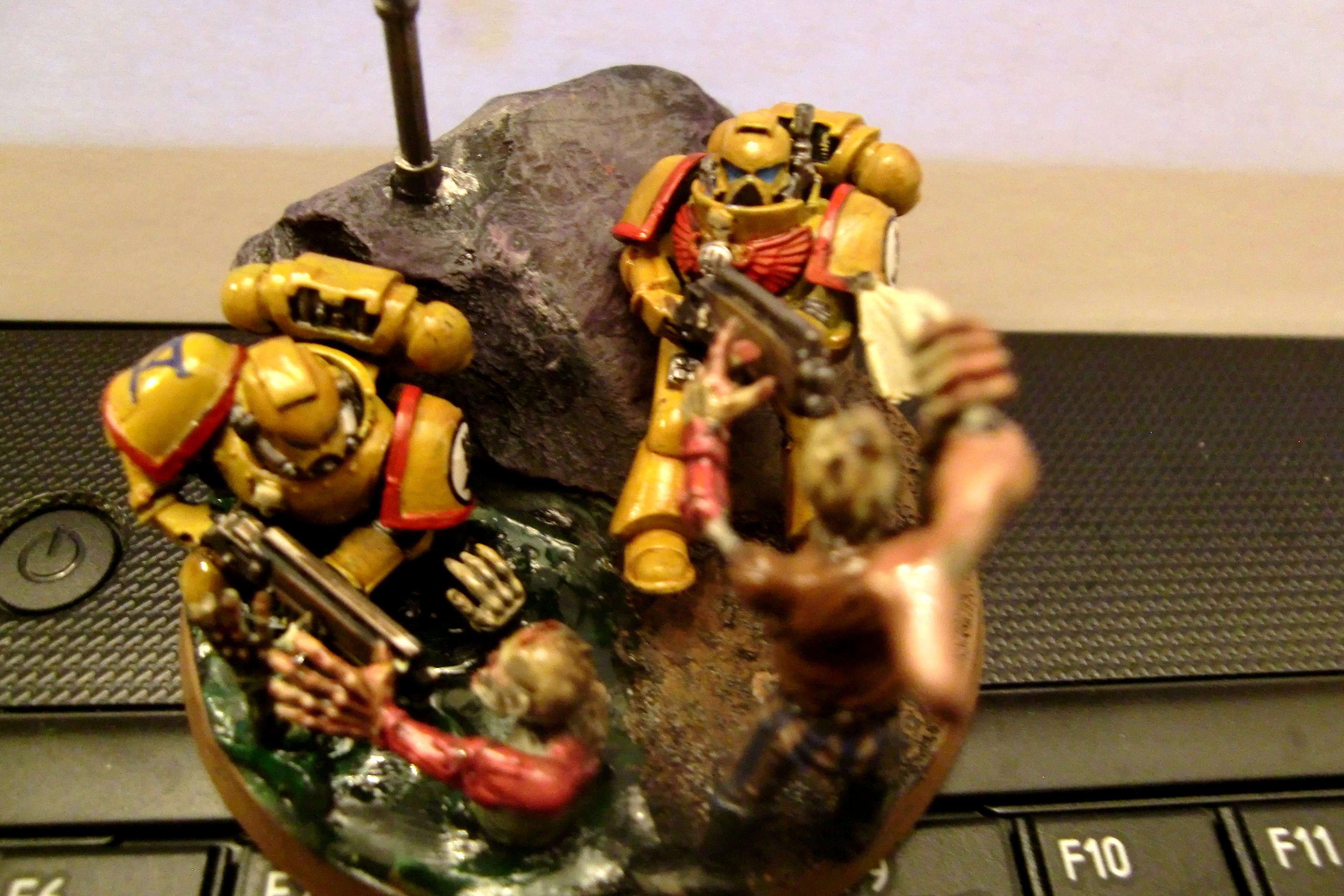 Imperial Fists, Space Marines, Zombie, Zombie Attack