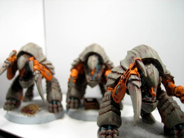 Tyranids
