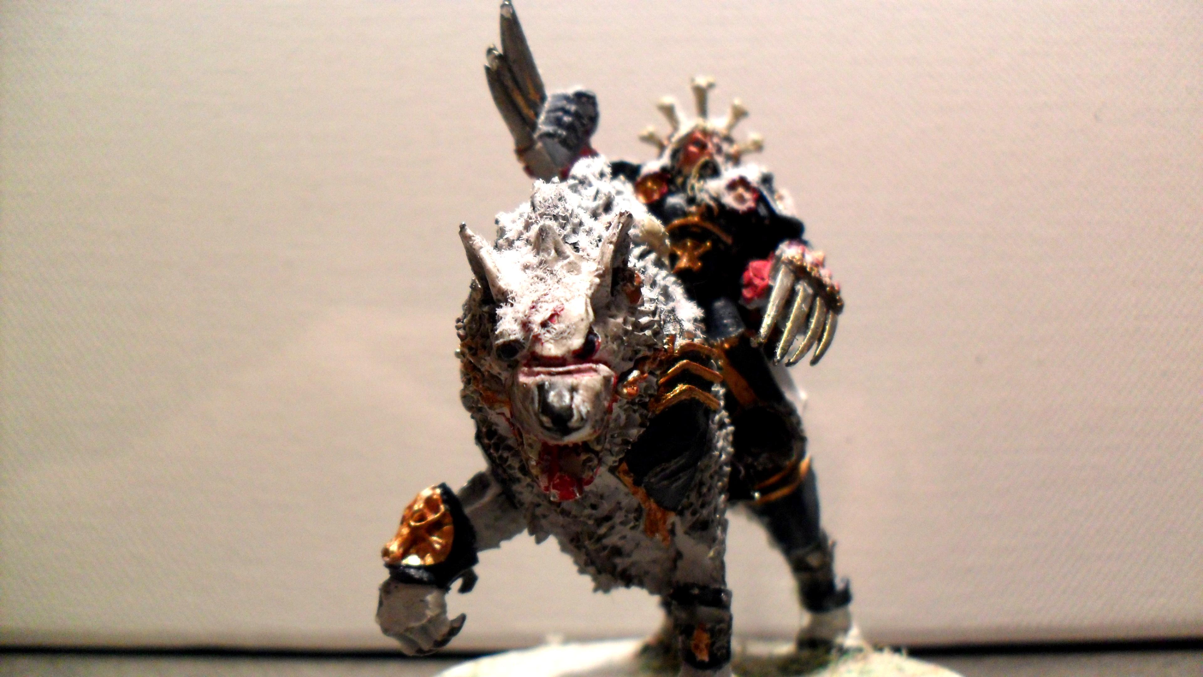 Cannis Des Loups, Franck83
