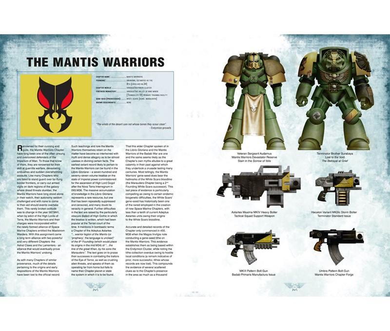 Mantis Warriors, Mantis Warriors