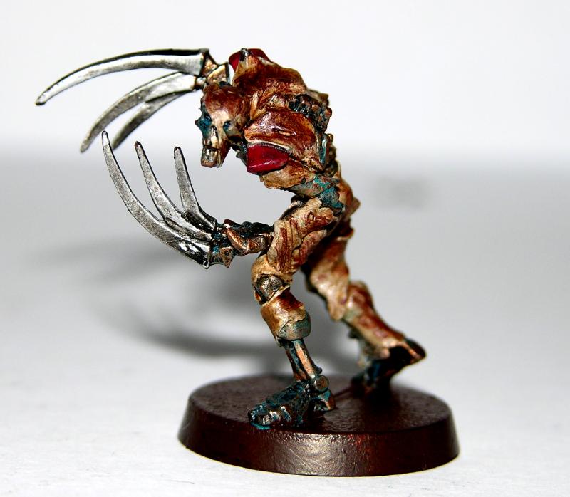 flayed ones price