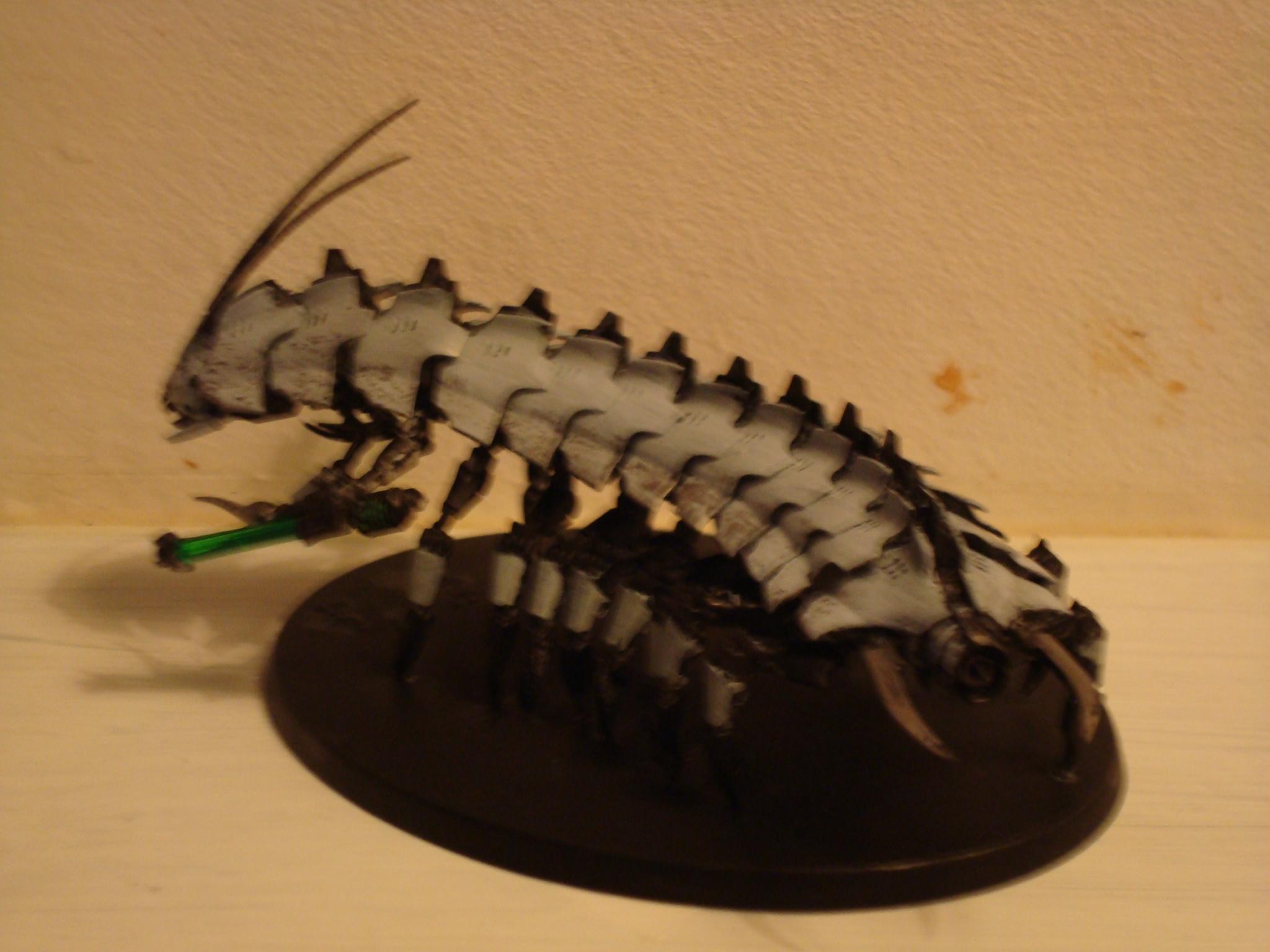 Centipede, Millipede, Necrons, Stalker, Tomb