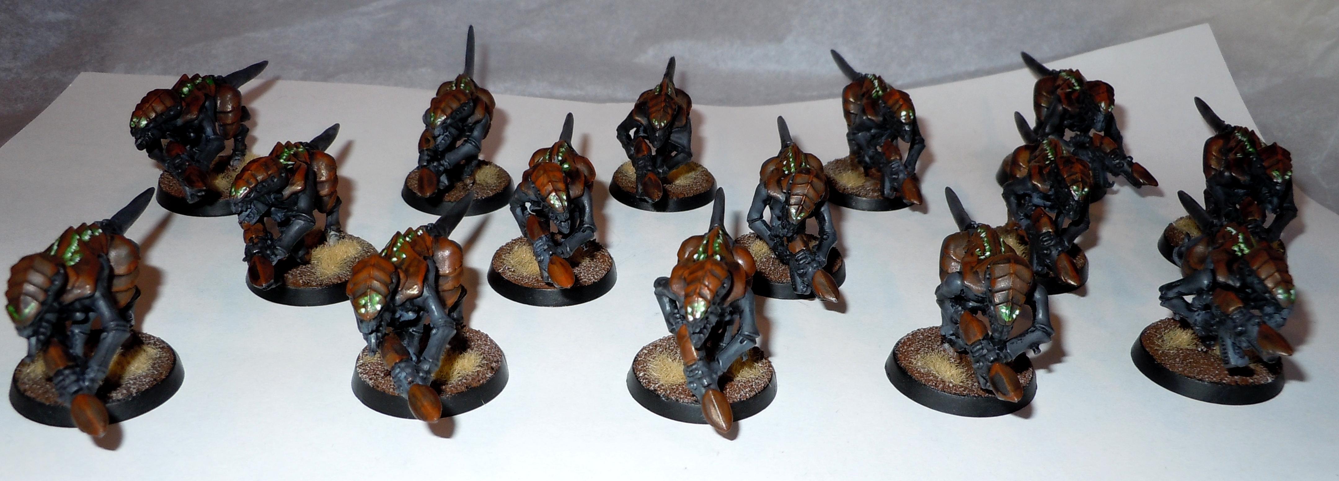 Termagants, Tyranids