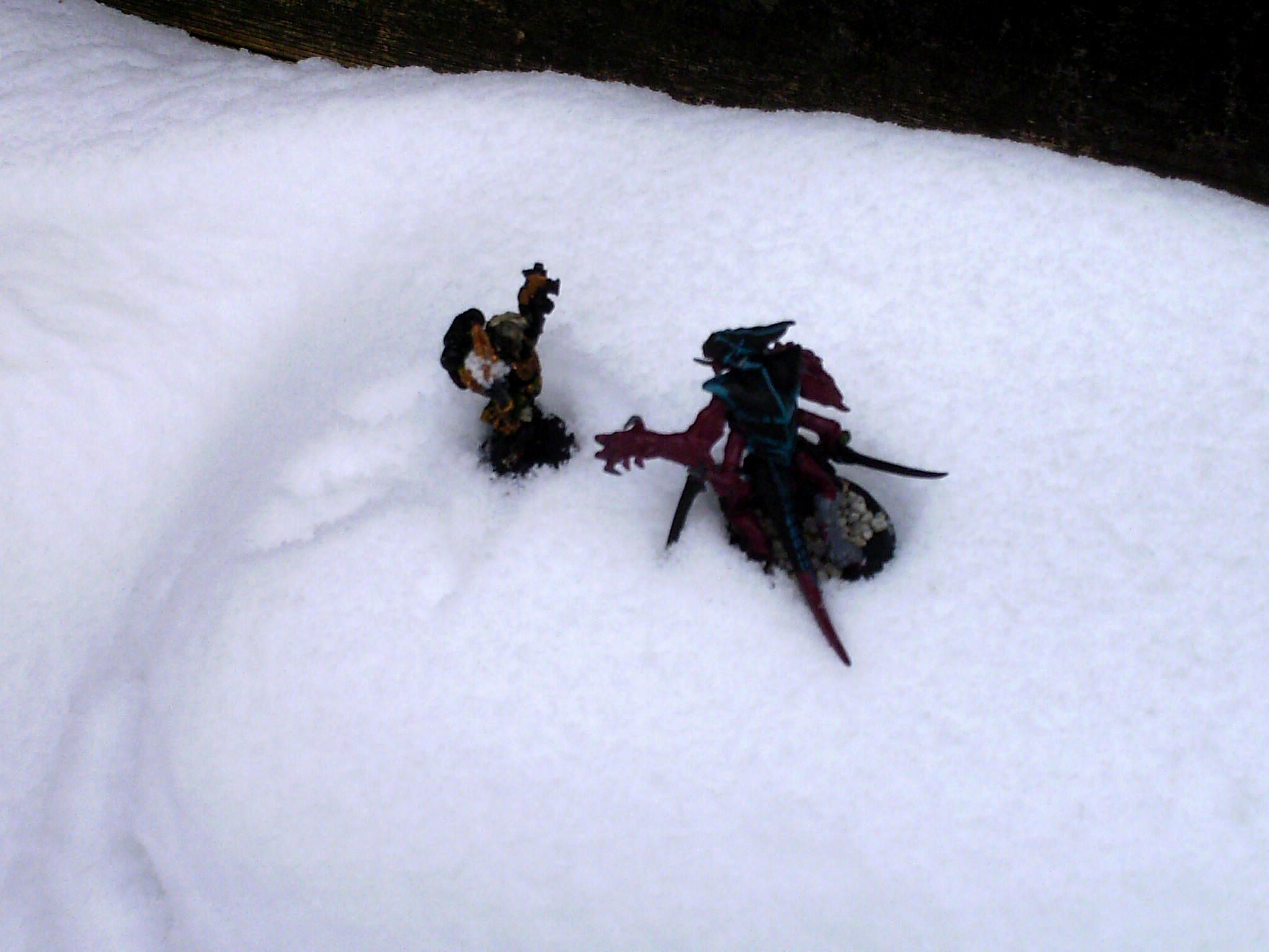 Chaplain vs Nid Warrior 