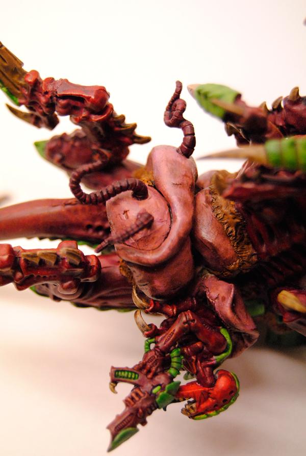 Tervigon Under