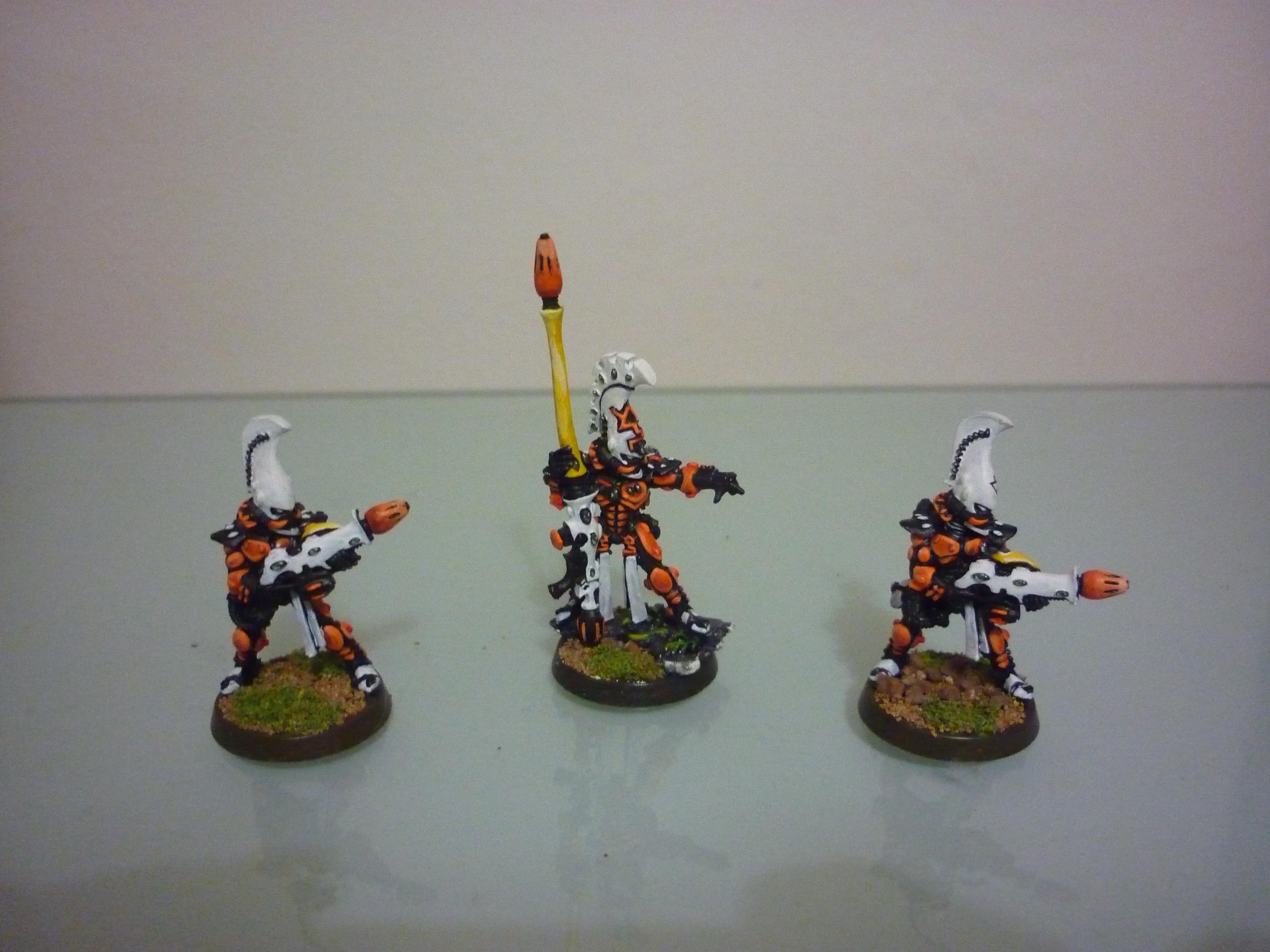 Fire Dragons
