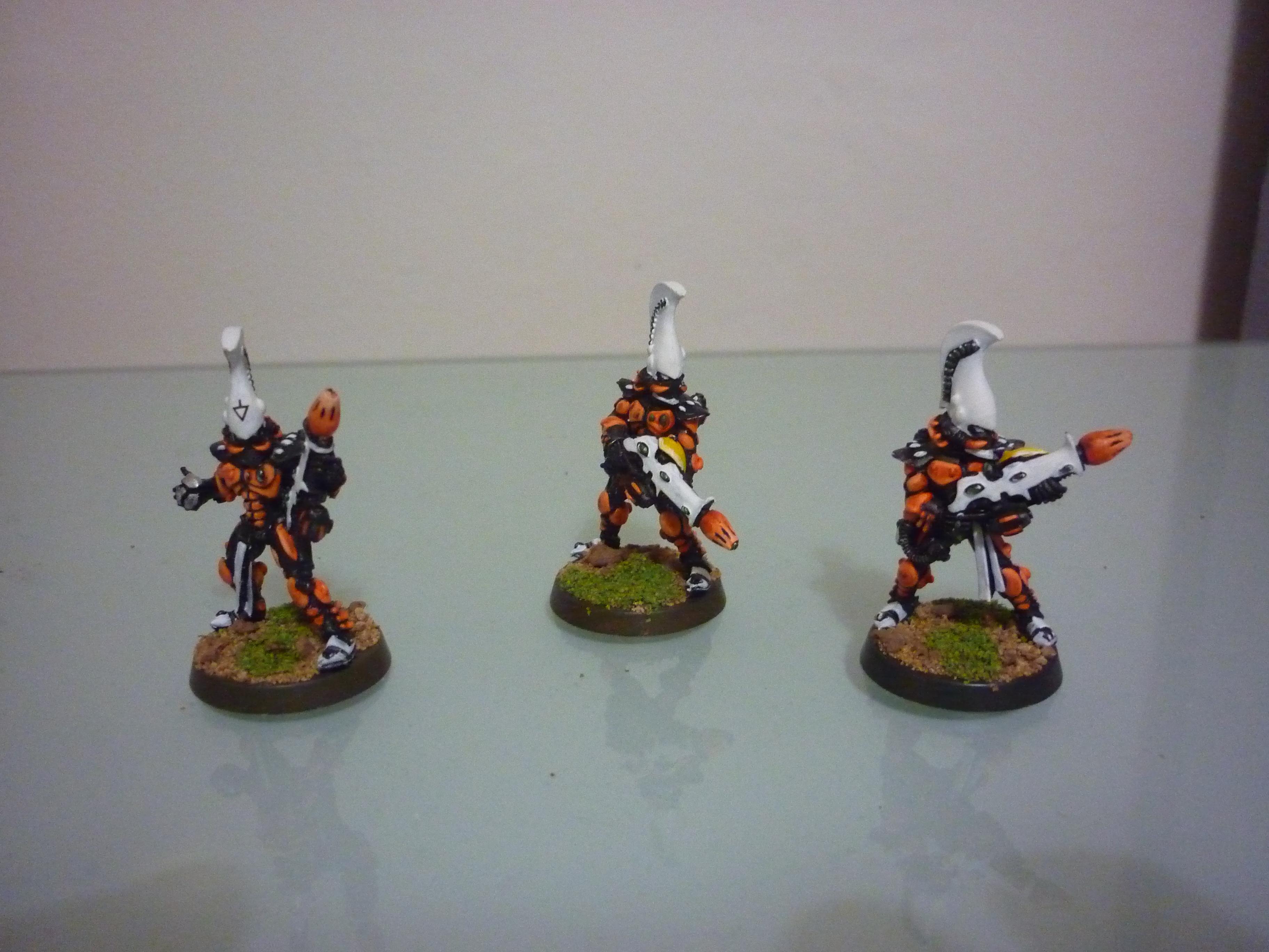 Eldar, Warhammer 40,000