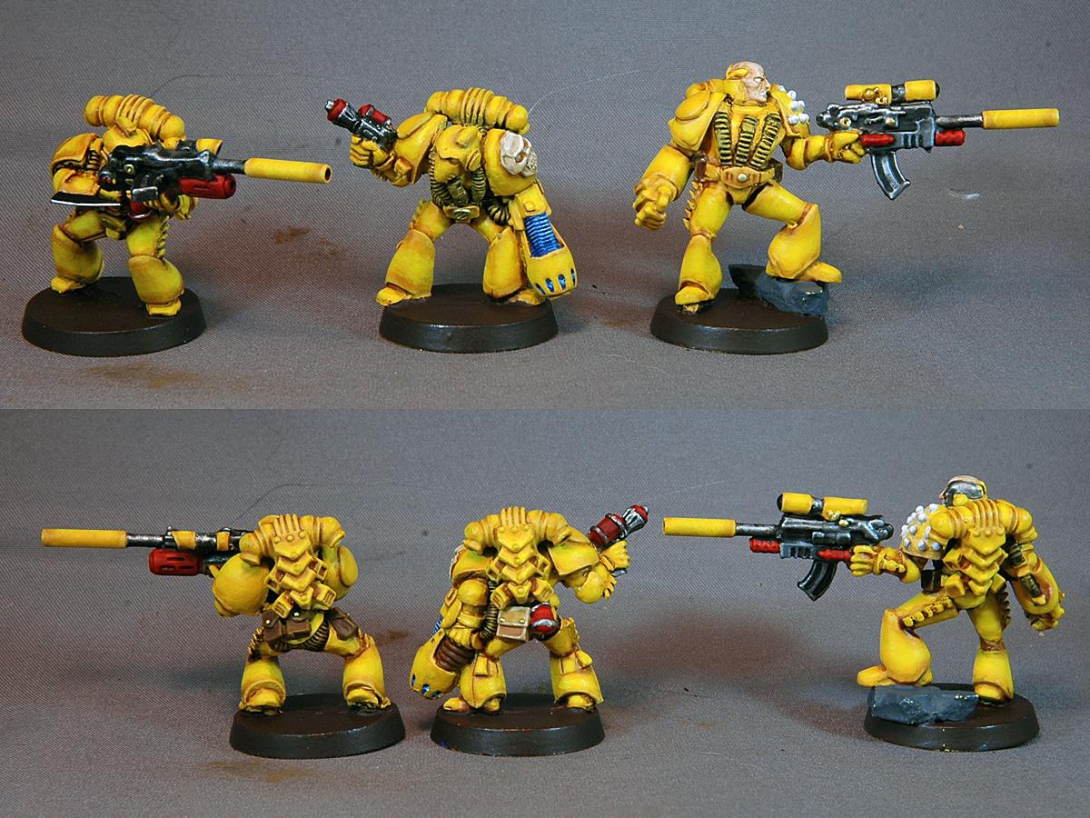 Sternguard WIP 3