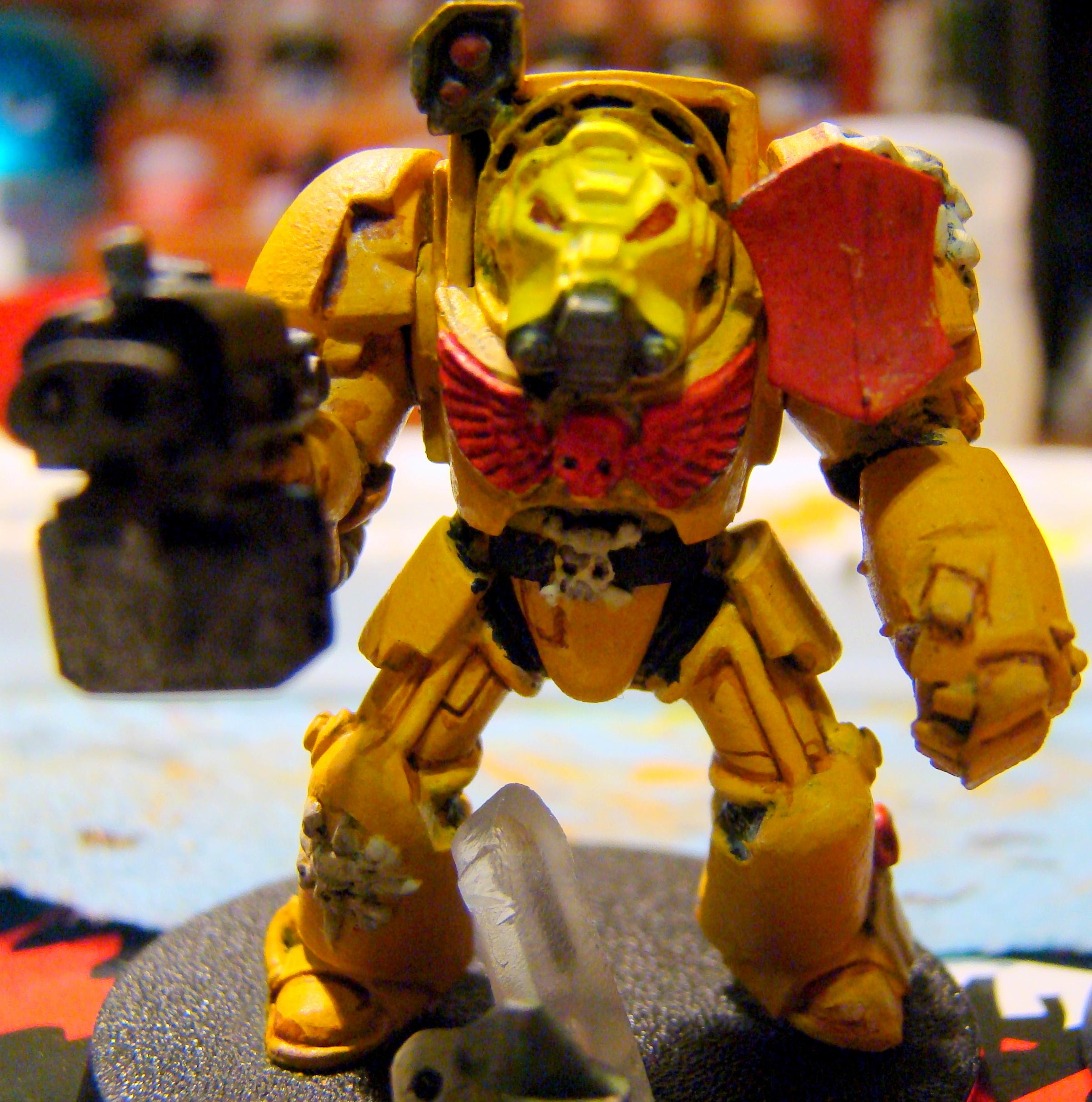 Terminator Armor, Imperial Fist Terminator