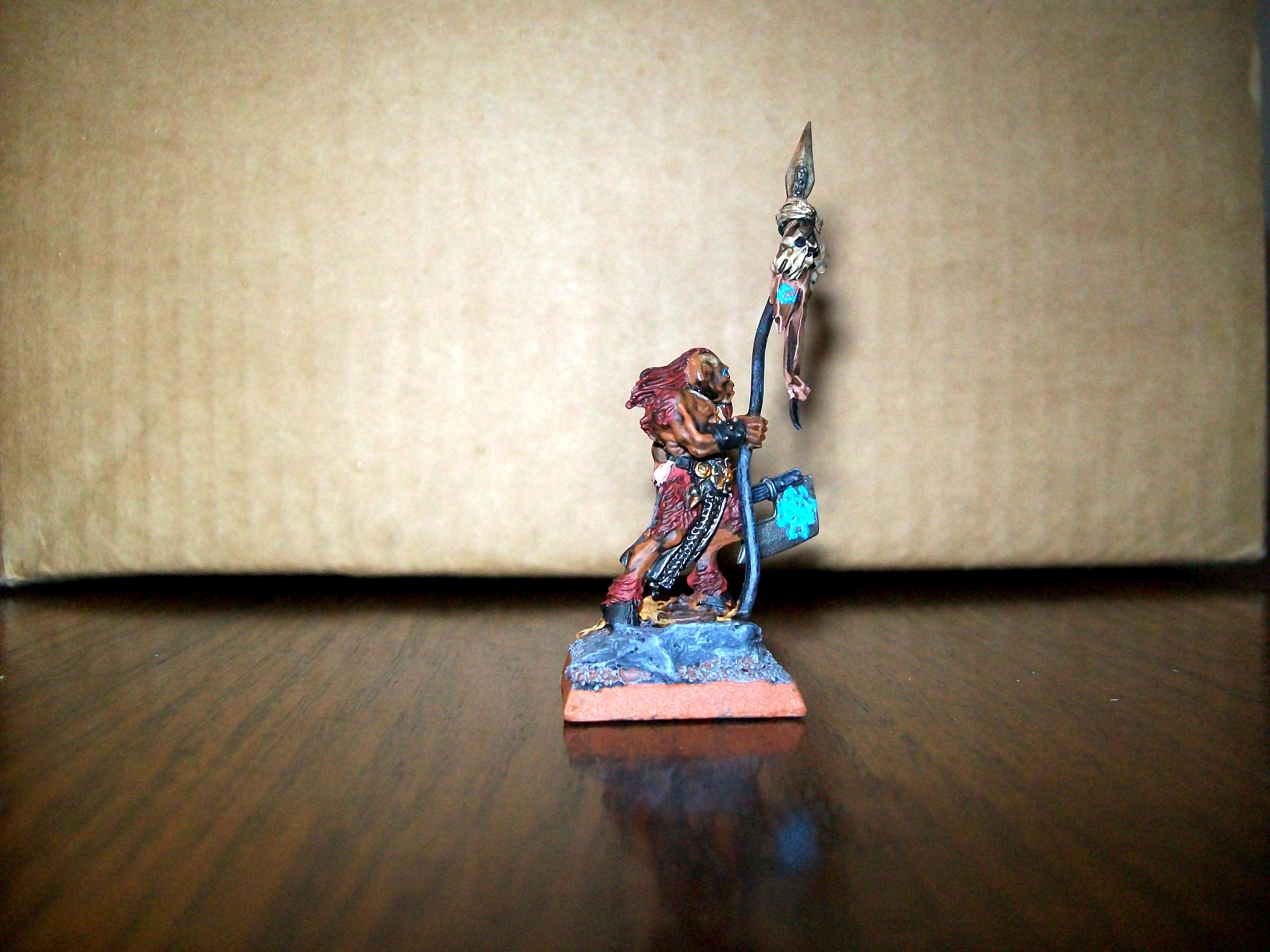 Beastmen, Conversion, Shaman