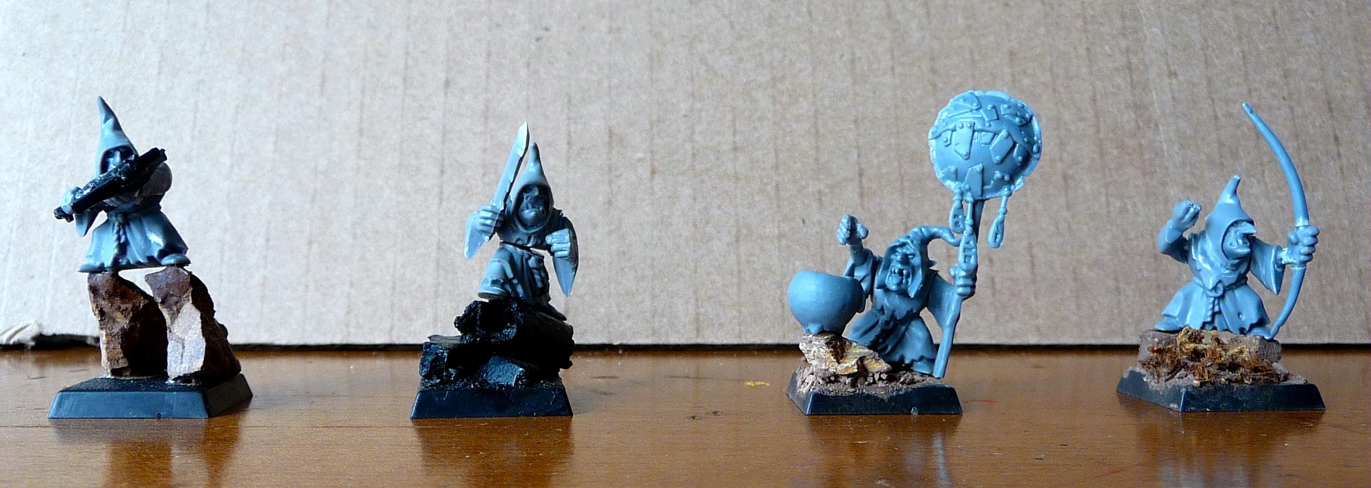 Fungal Foragers 1st rank