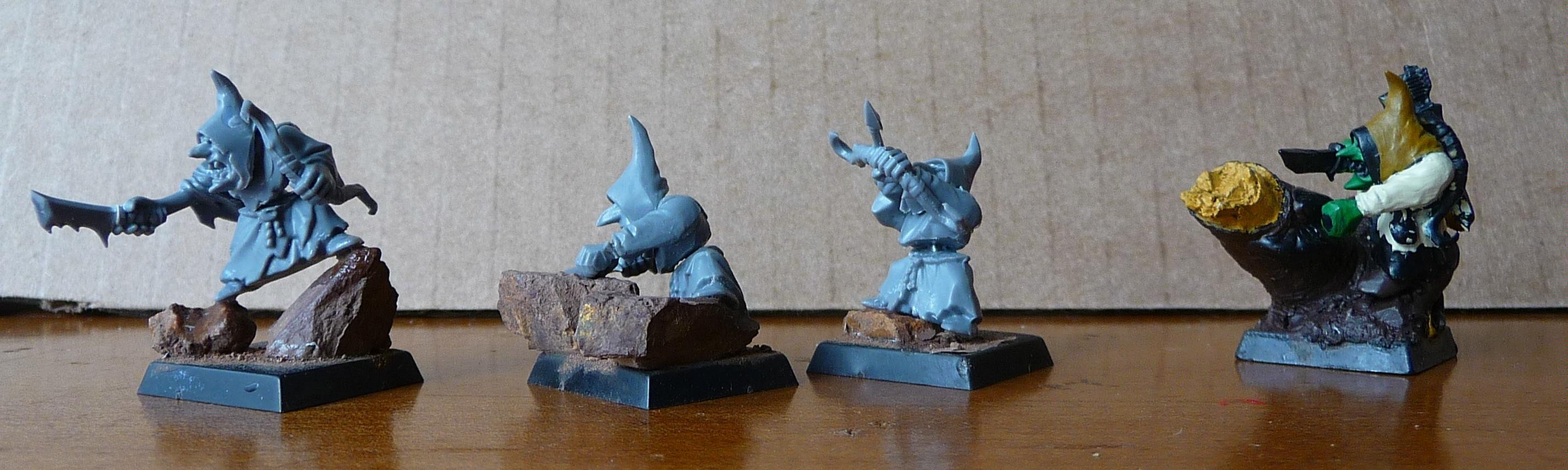 Fungal Foragers 4th rank