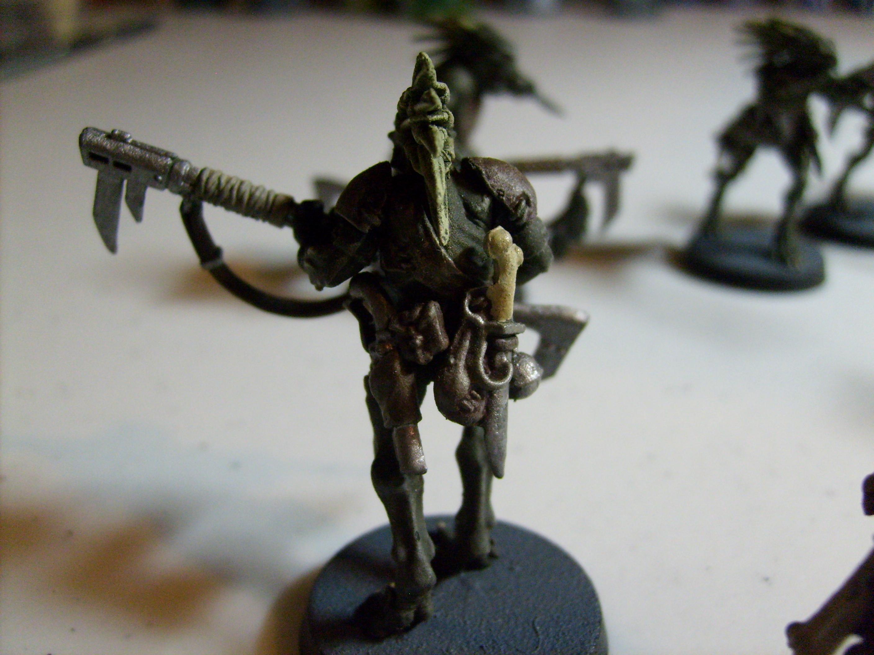 Kroot