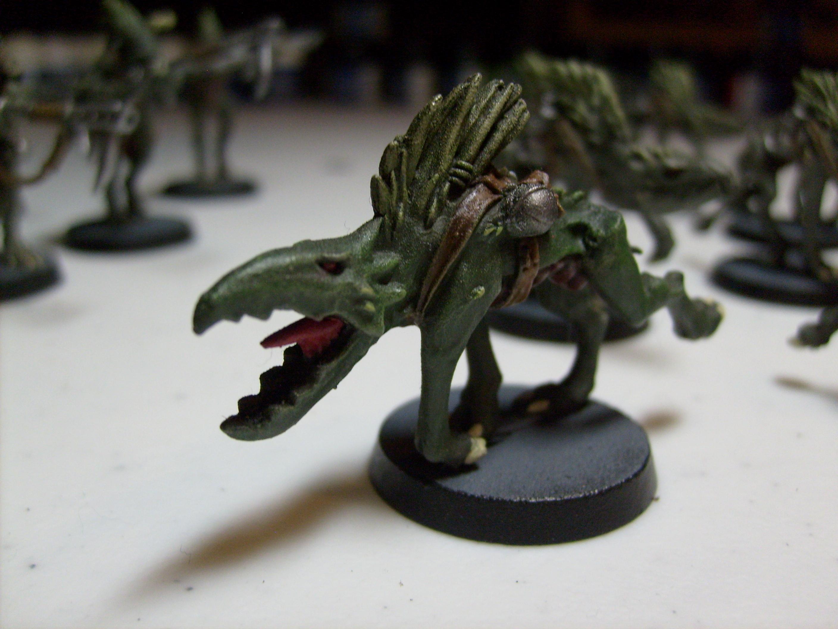 Kroot, Kroot Hound, Tau
