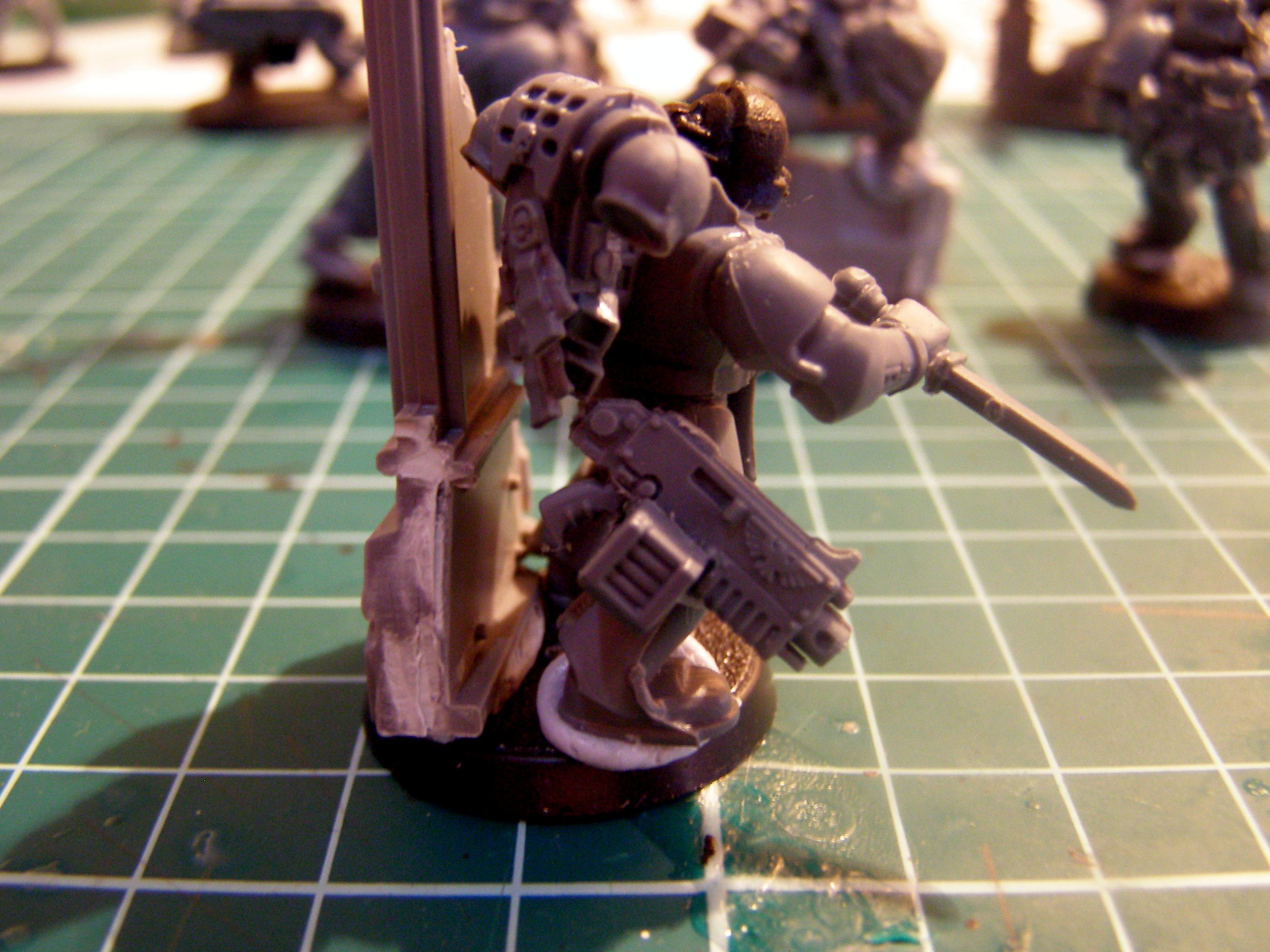 Work In Progress, WIP Sternguard No1