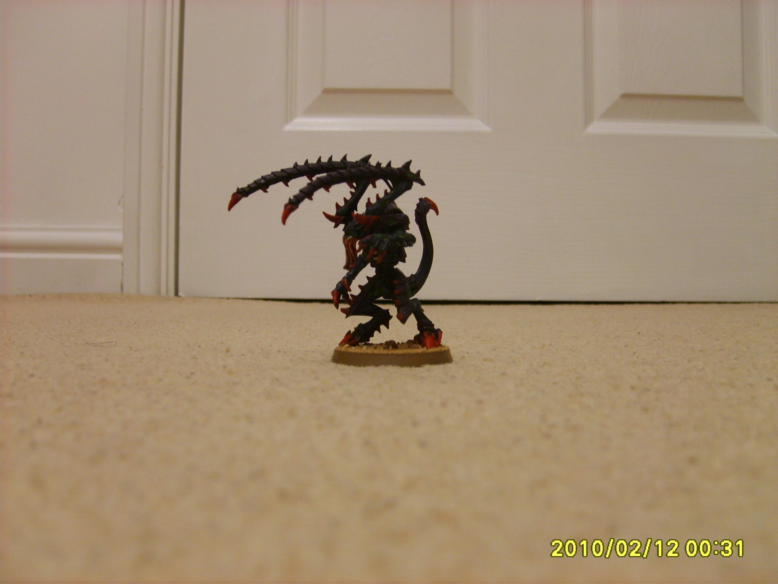 Lictor, Tyranids, Lictor #1