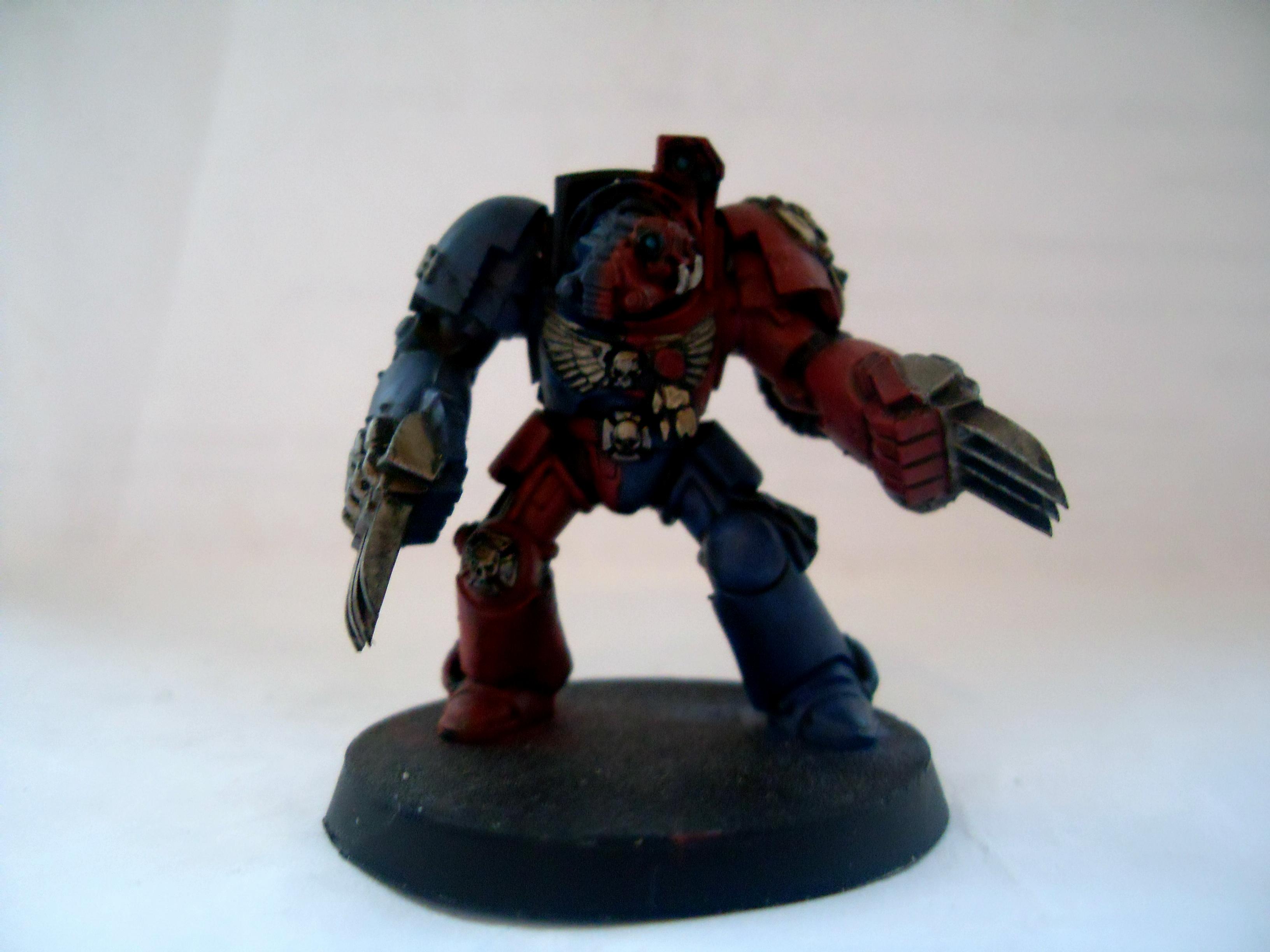 brazon claws  termie