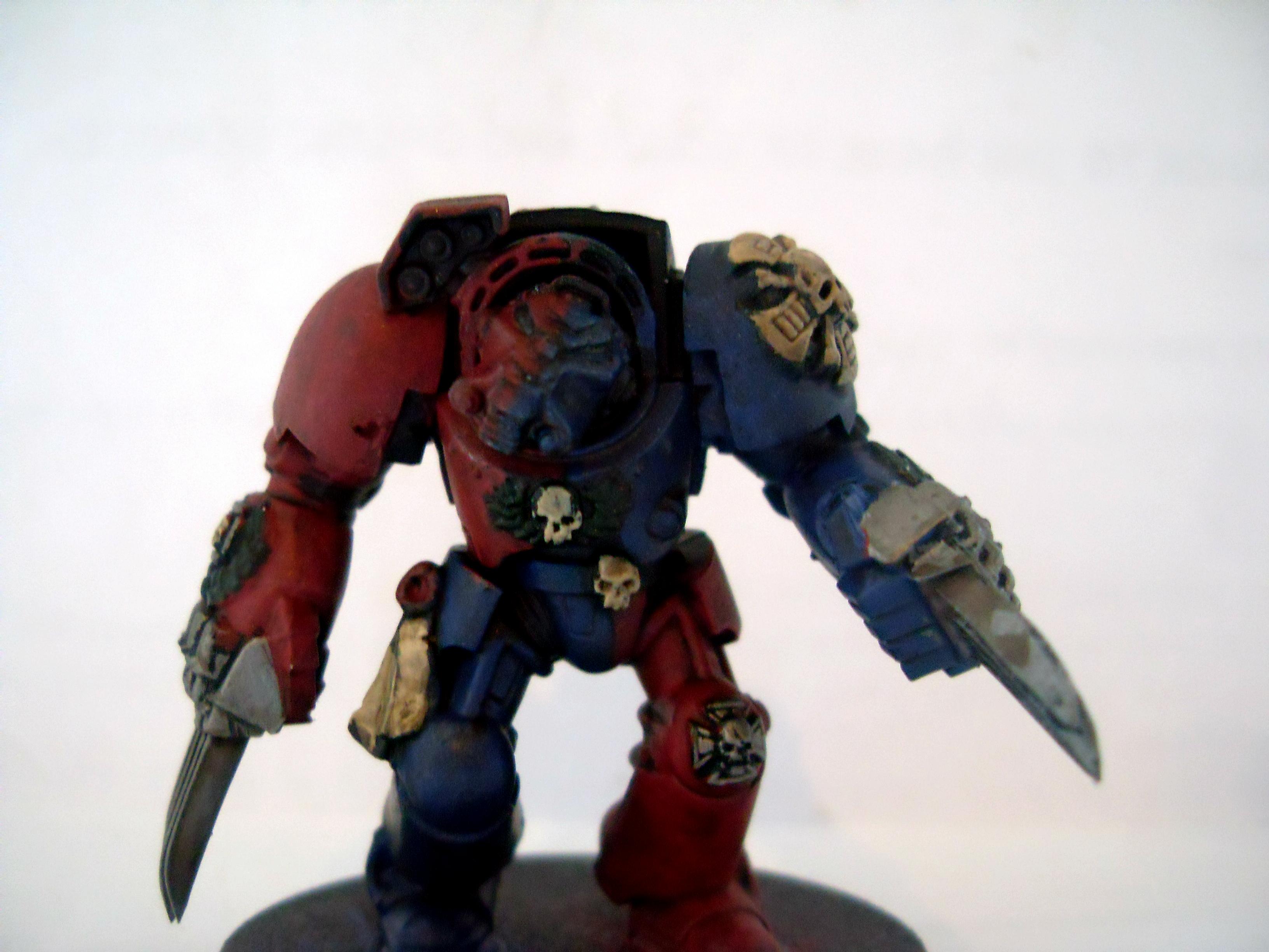 brazon claws  termie