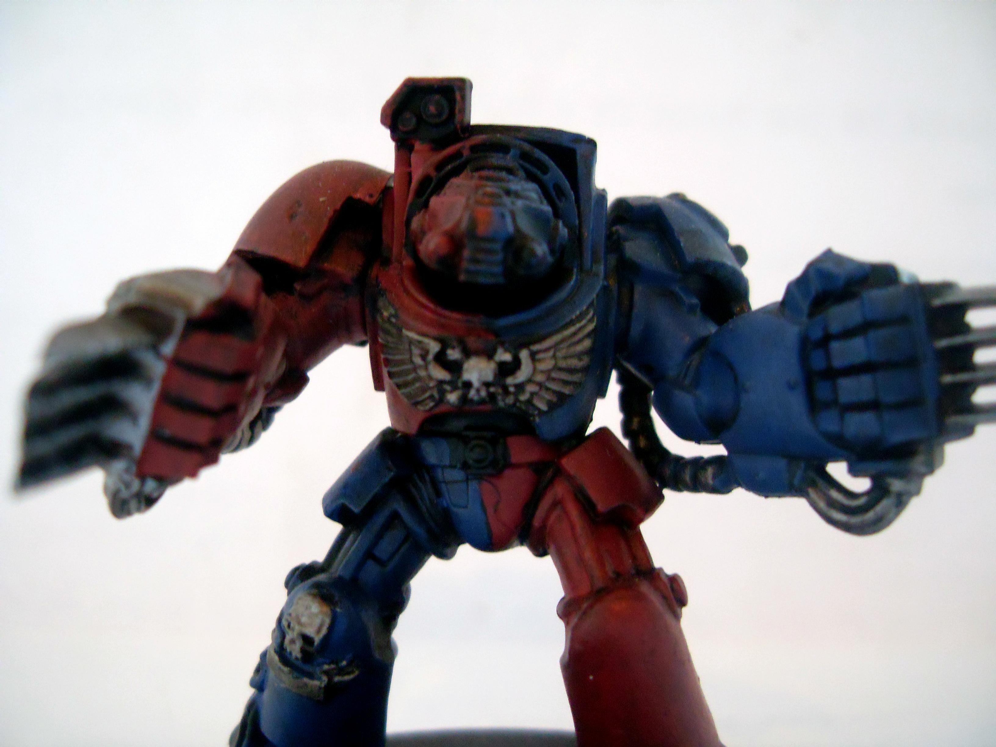 brazon claws  termie