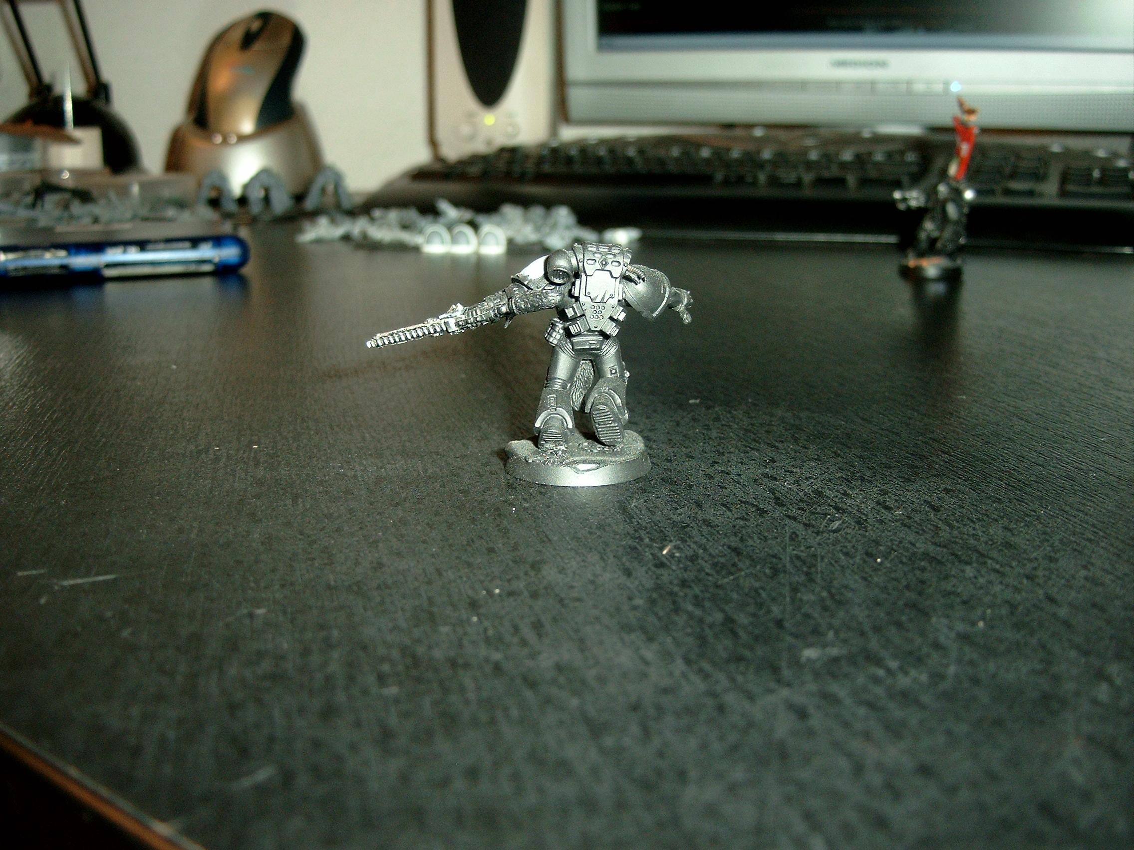Space Wolves, Warhammer 40,000, Work In Progress