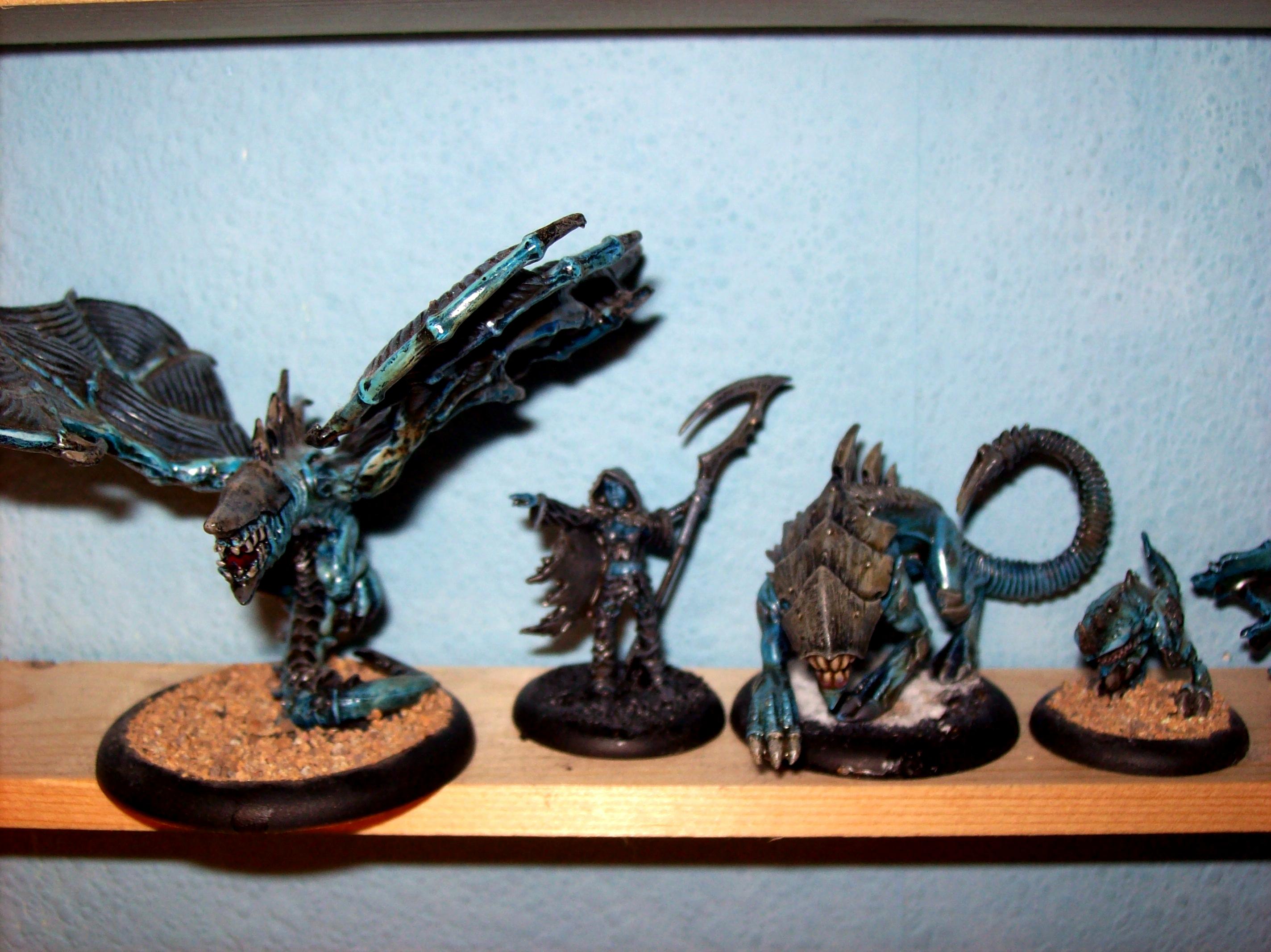 Everblight, Raek, Seraph, Shepherd, Shredder
