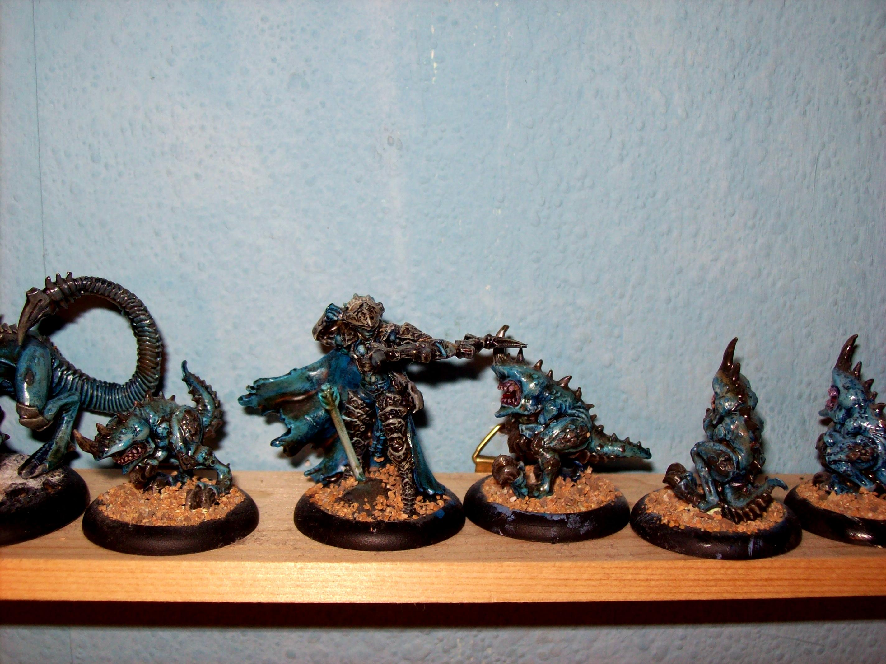 Everblight, Raek, Seraph, Shepherd, Shredder