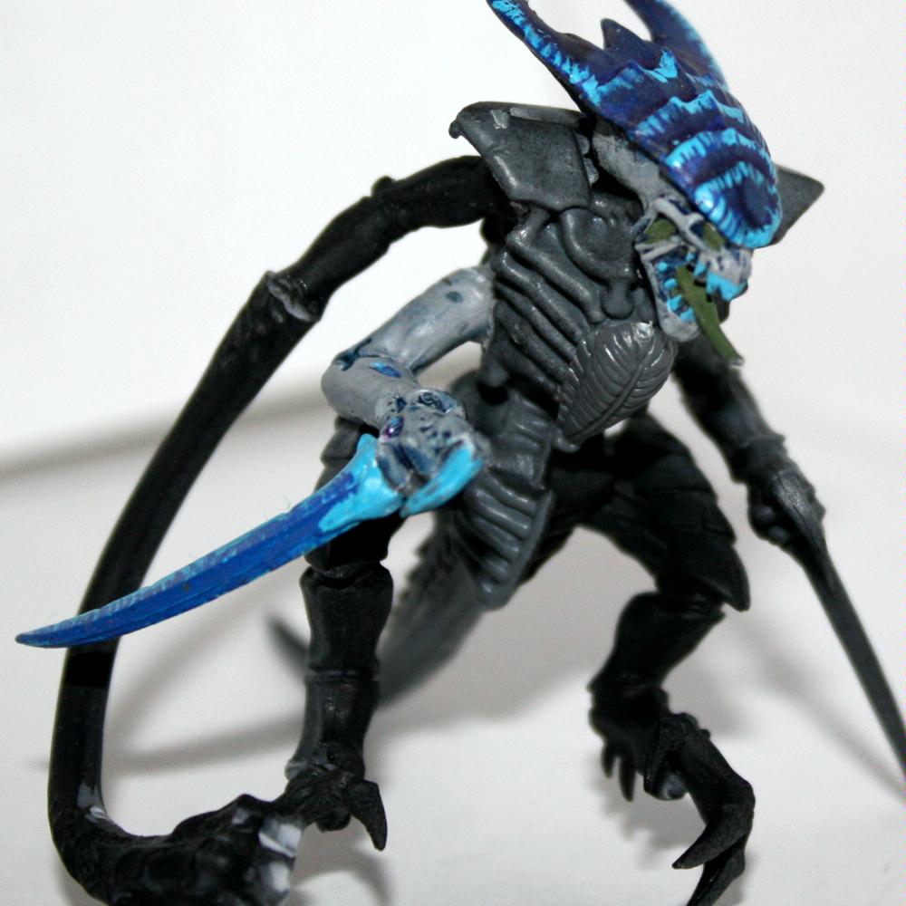 Tyranids
