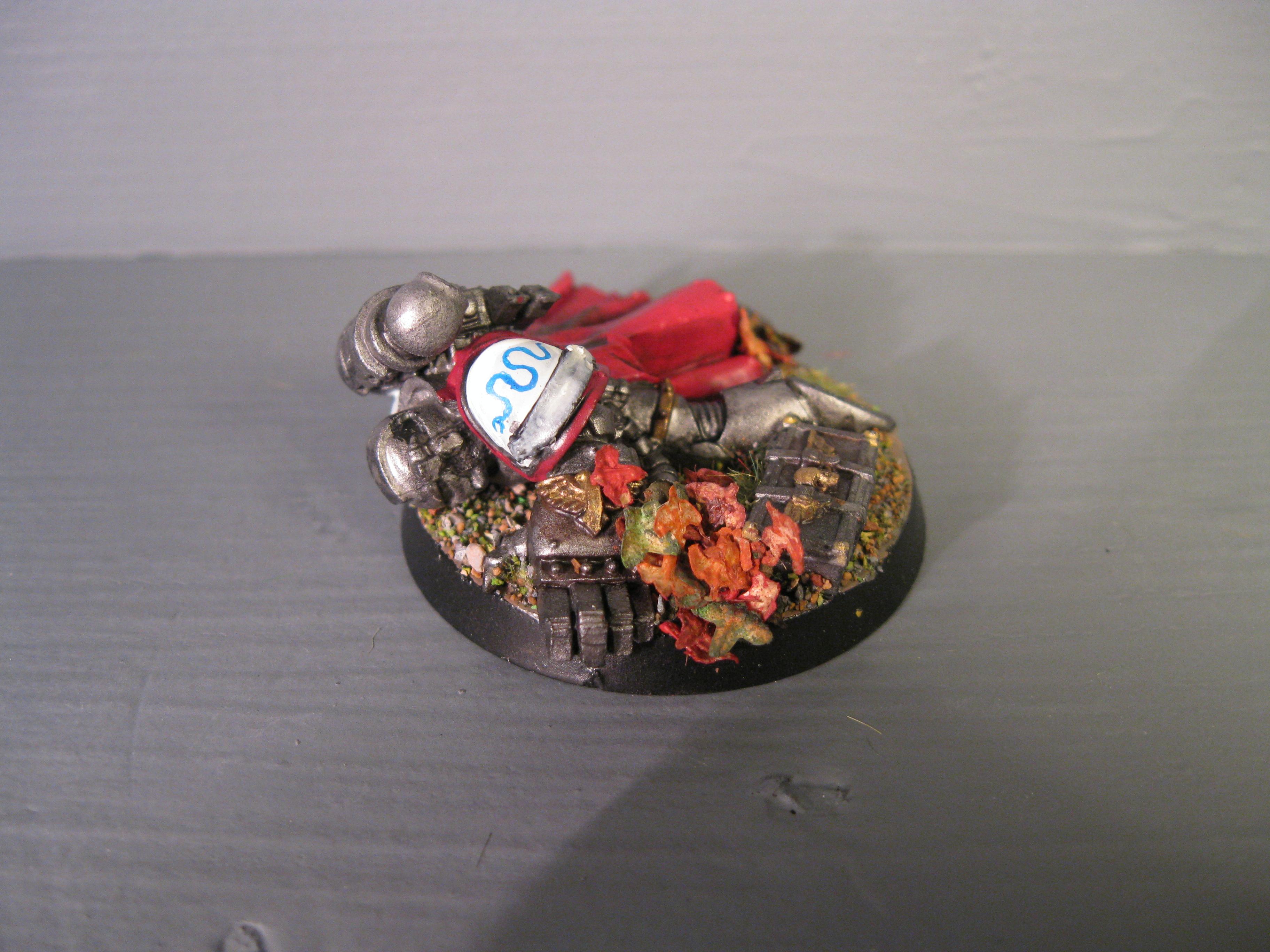 Iron Snakes, Pro Painted, Space Marines, Warhammer 40,000
