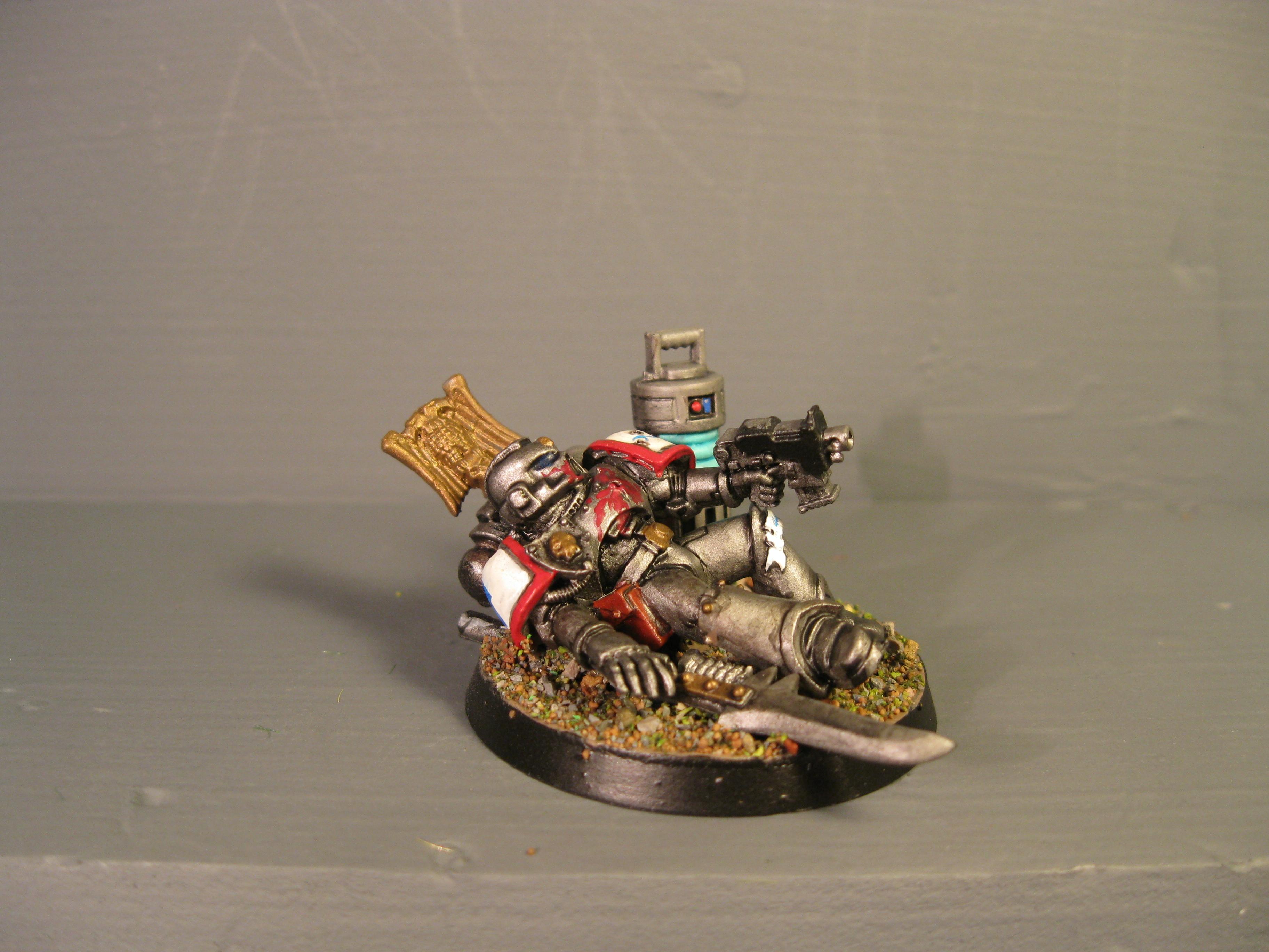 Iron Snakes, Pro Painted, Space Marines, Warhammer 40,000