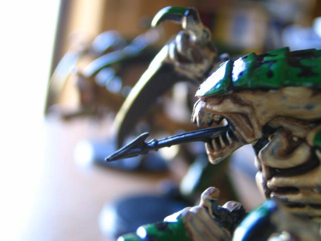 Tyranids