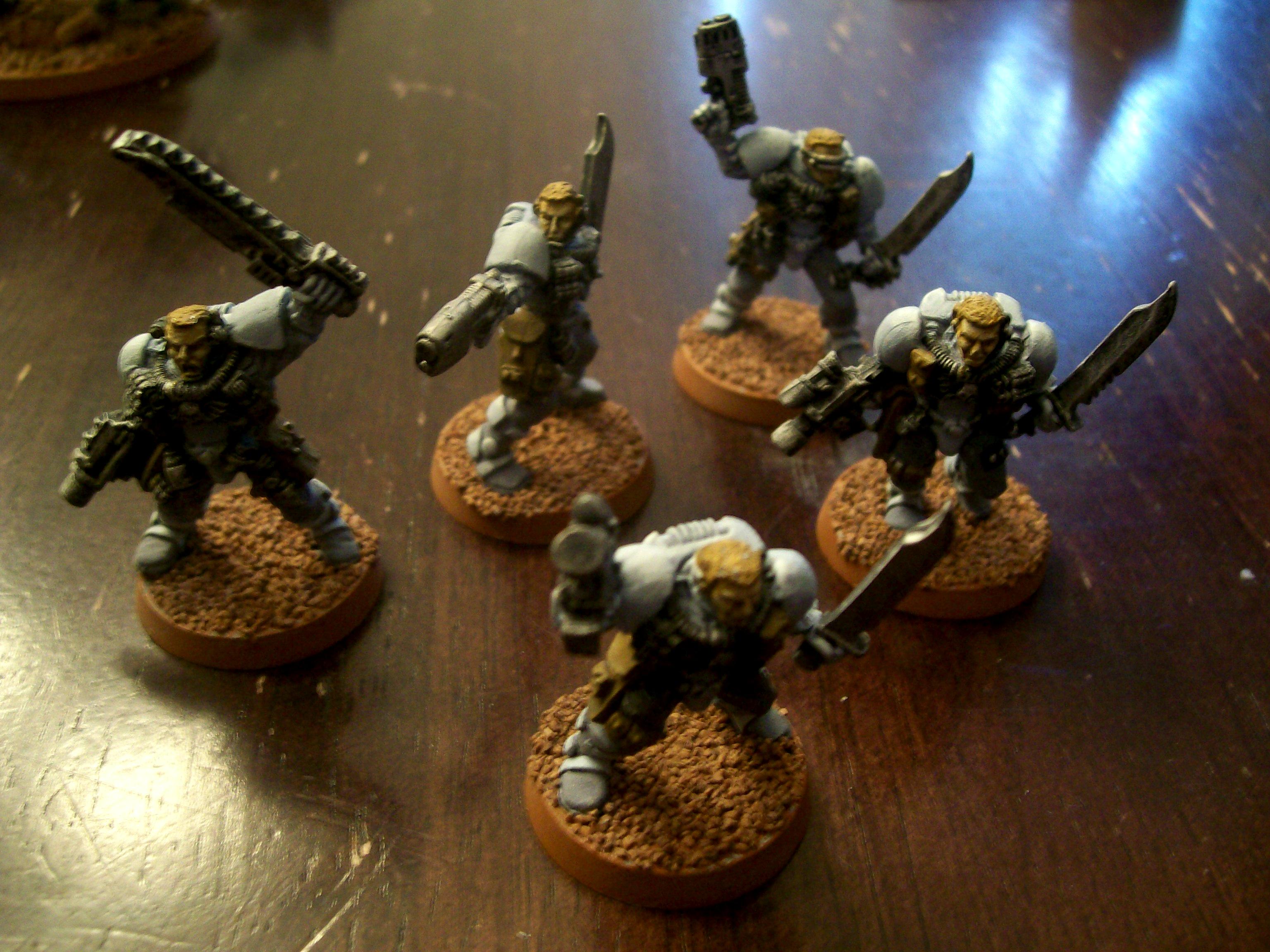 wolf scouts