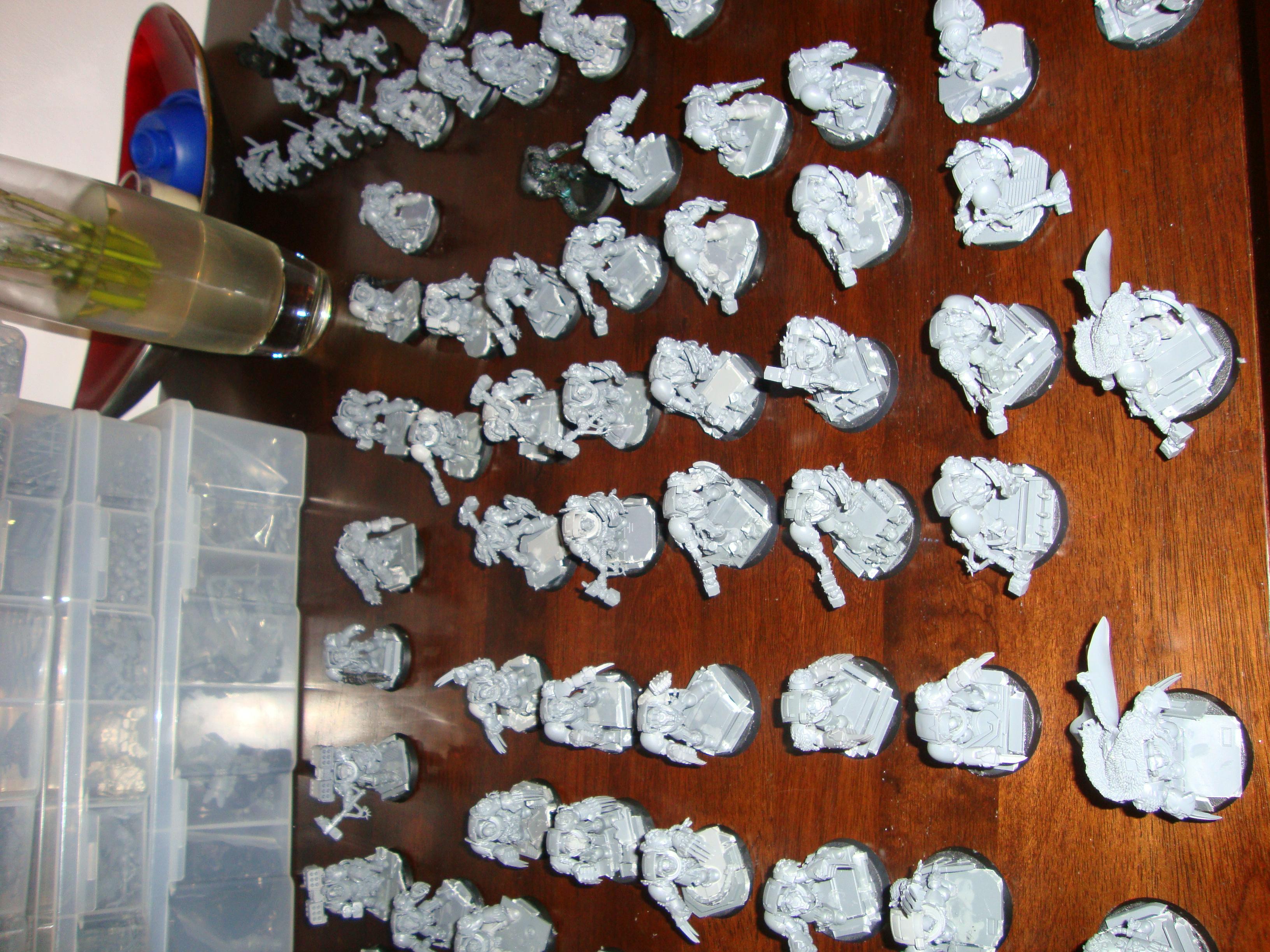 Space Marines, Space Wolves