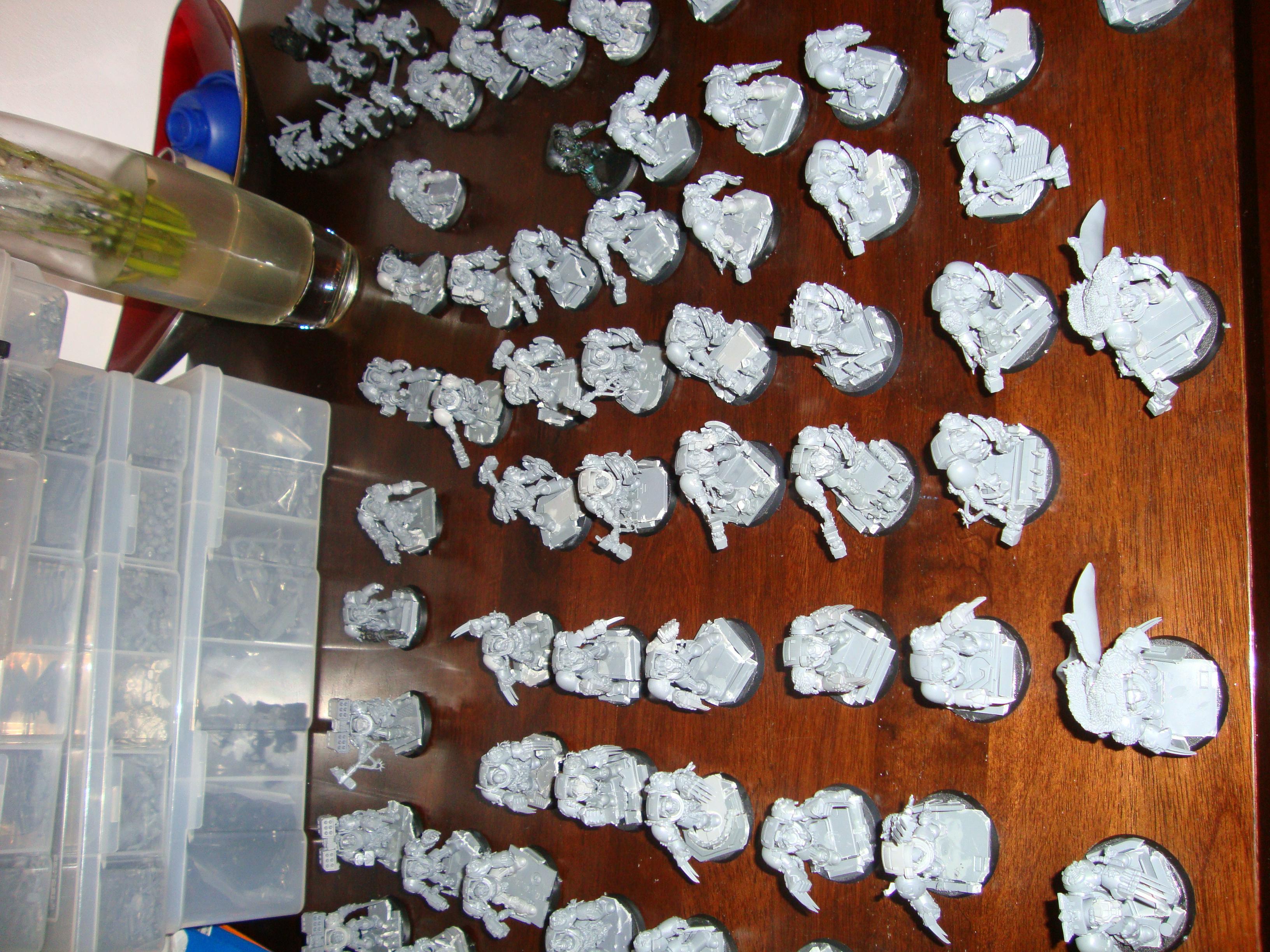 Space Marines, Space Wolves
