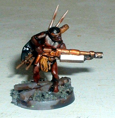 Conversion, Imperial Guard, Kroot, Zulu