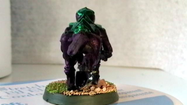 bug rear