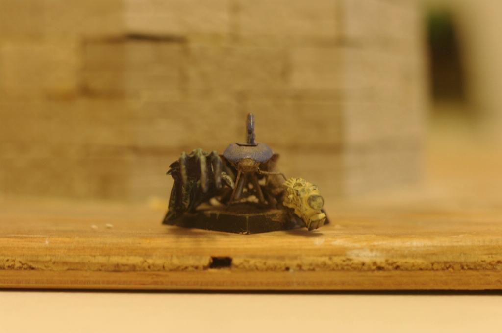 Warhammer Fantasy, THE ROACH!