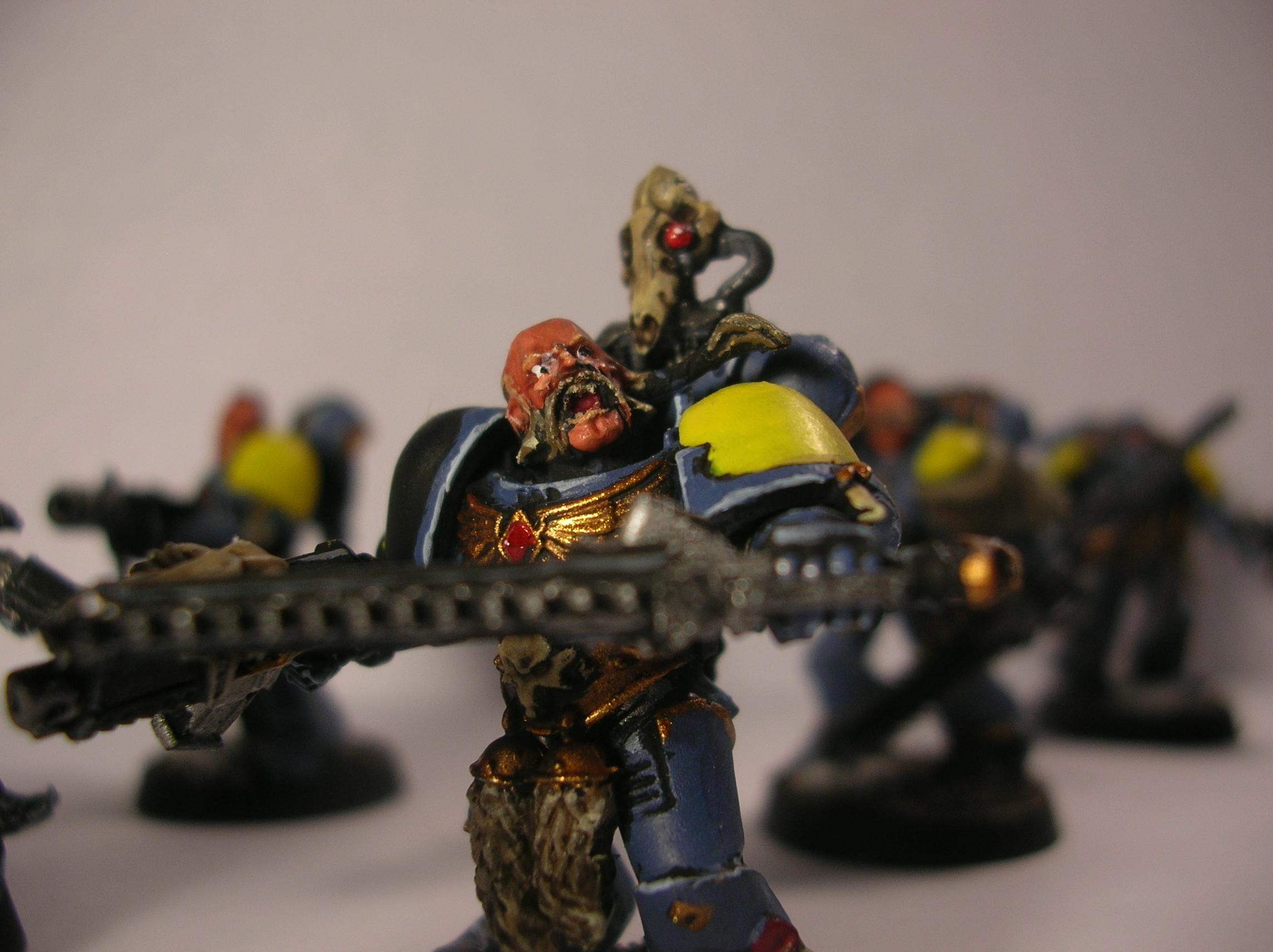 Frostblade, Grey, Guard, Hunter, Snow, Space, Space Wolves, Winter, Wolf, Wolves, Wulfen