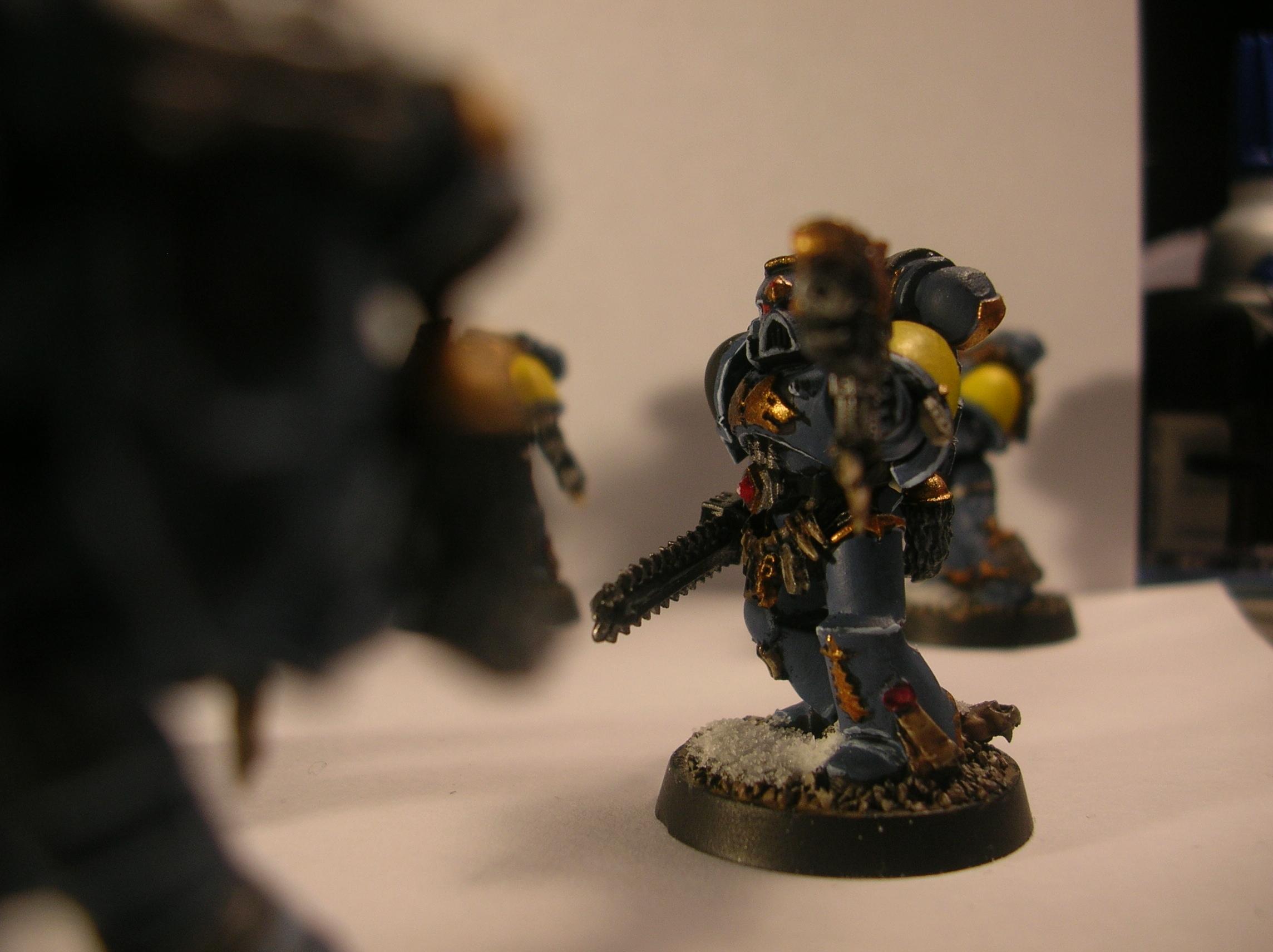 Frostblade, Grey, Guard, Hunter, Snow, Space, Space Wolves, Winter, Wolf, Wolves, Wulfen