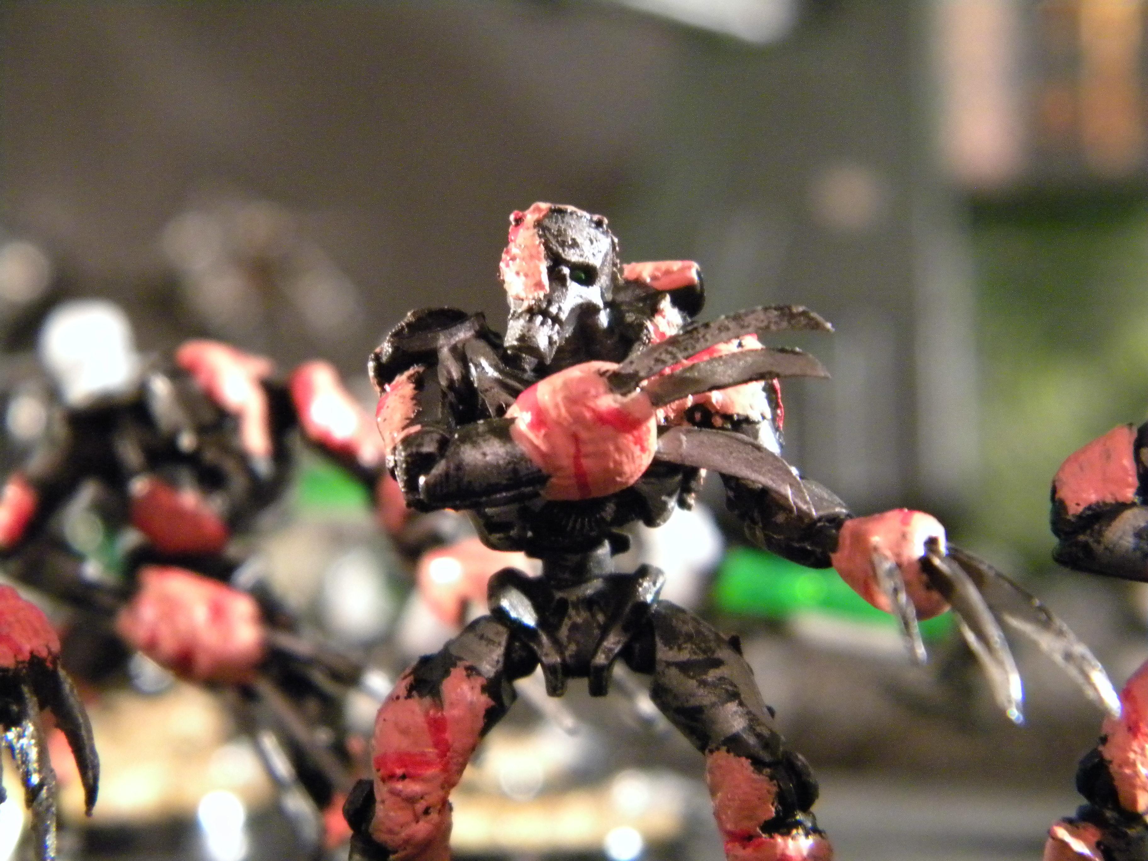 Flayed Ones, Necrons