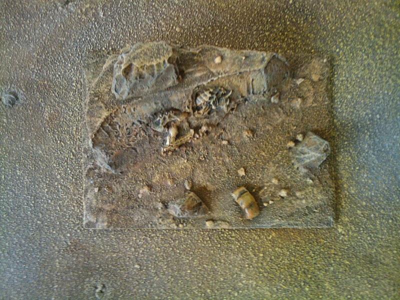 Desert, Fossil, Terrain, Tyranids