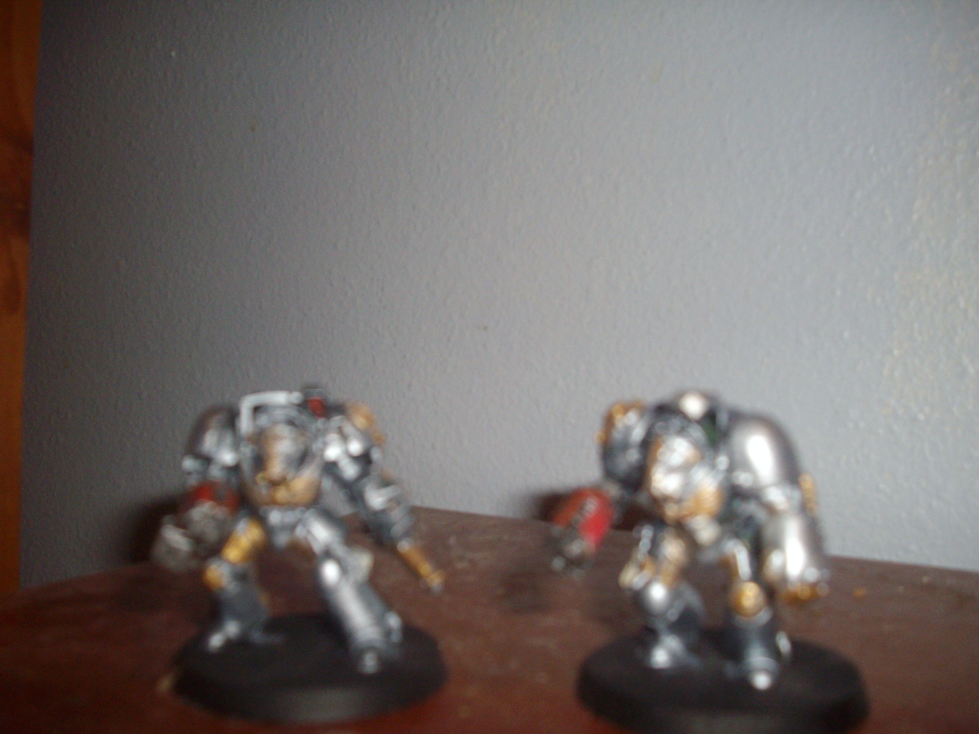 Vindicator Paladins