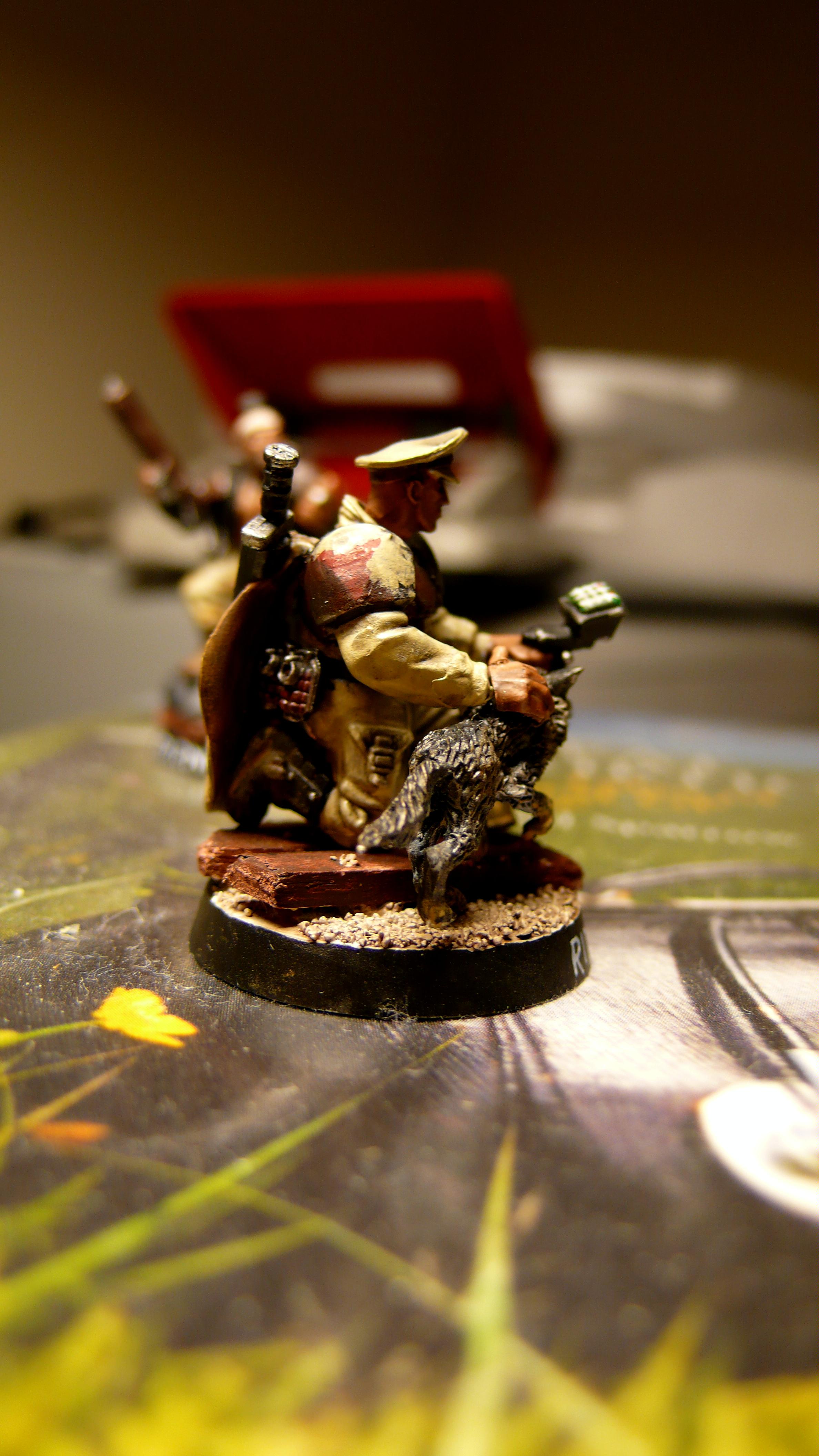 Captain, Commander, Desert, Guard, Remnant, Remnants, Ridgeway, Survivors, Troops