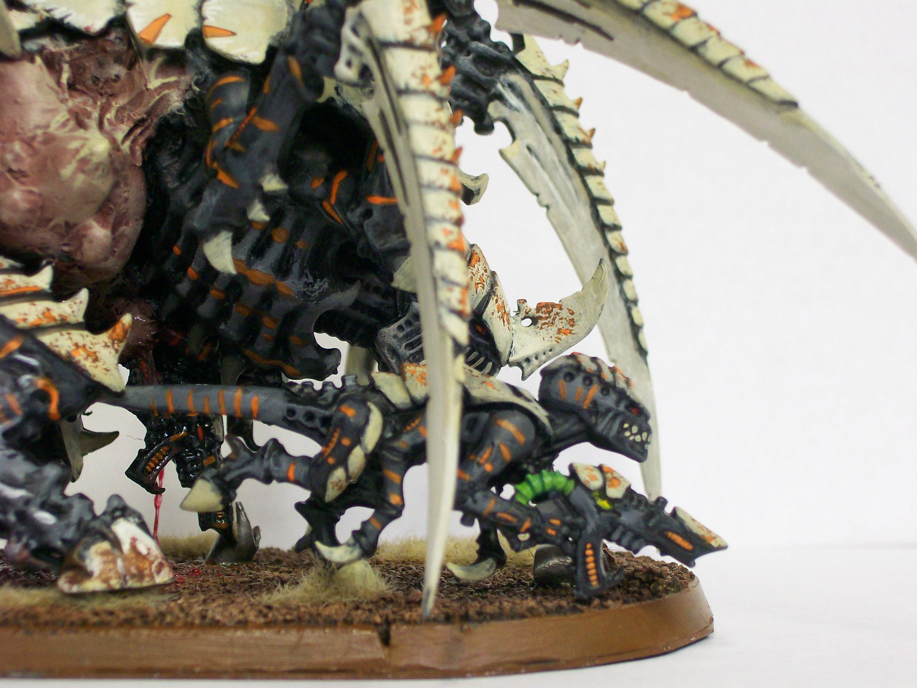 Tyranids, Tervigon (3)