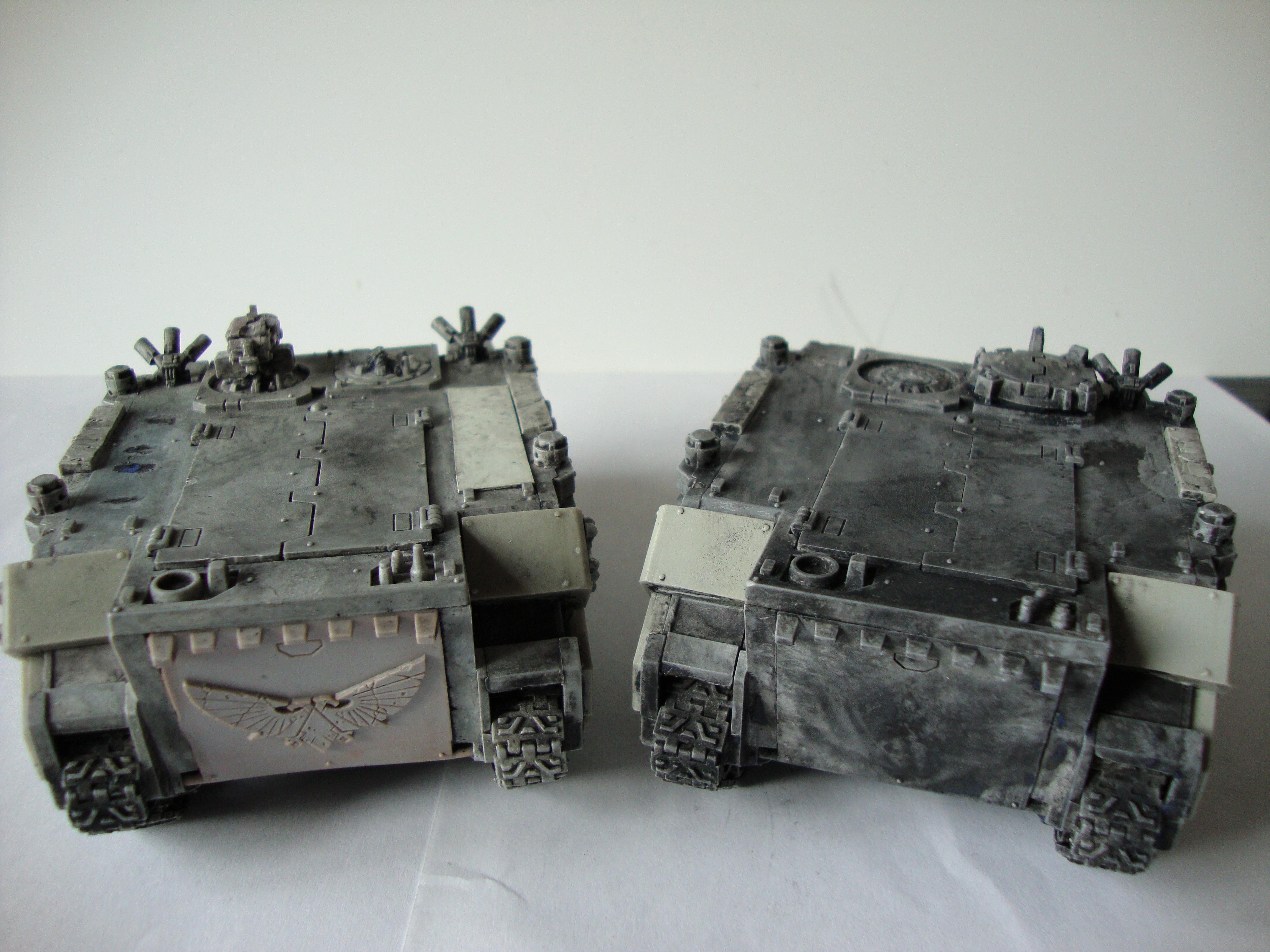 paint striped rhinos 2